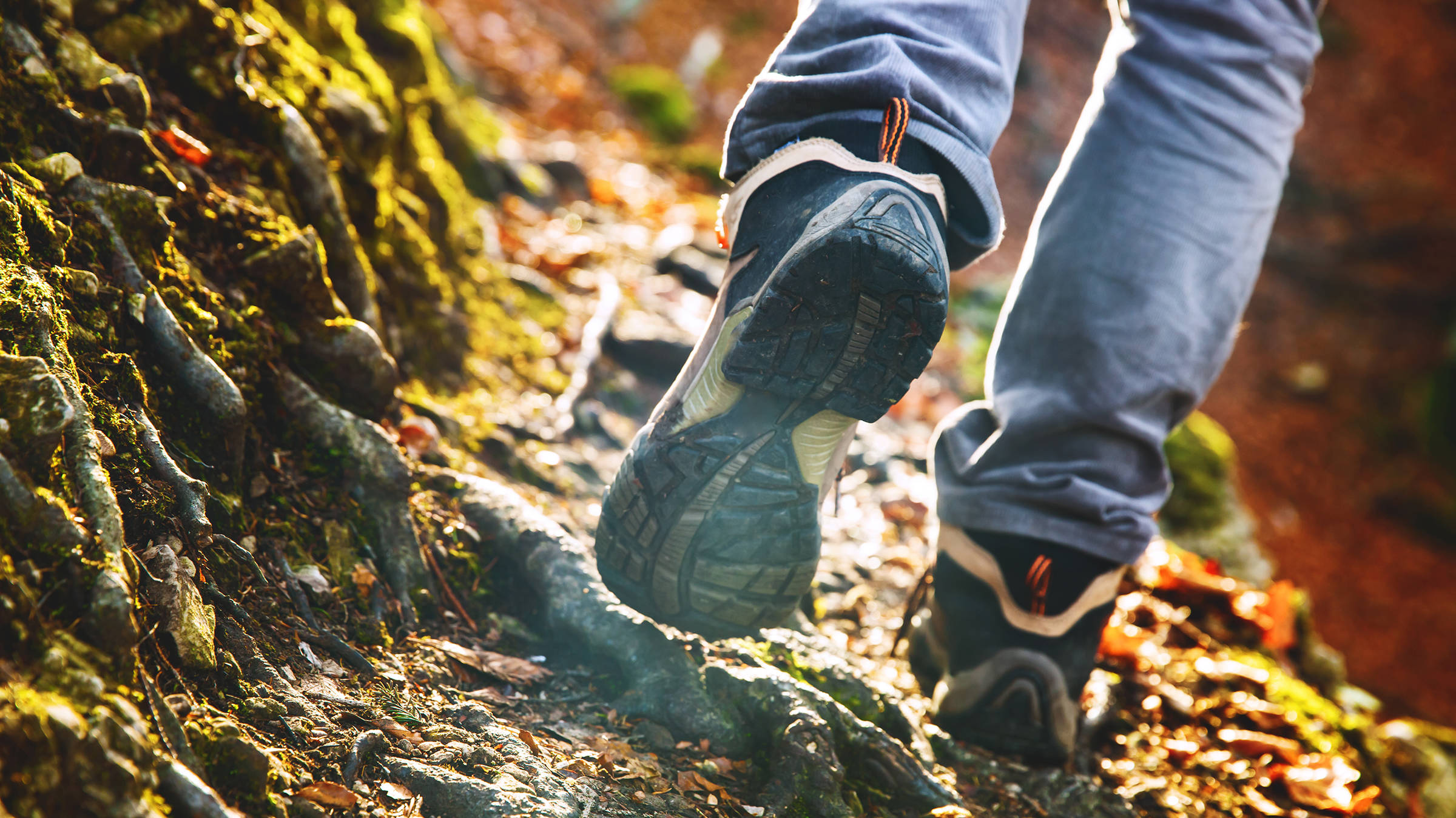 Wanderrouten in Locarno | H-Hotels.com Wanderrouten in Locarno | H-Hotels.com