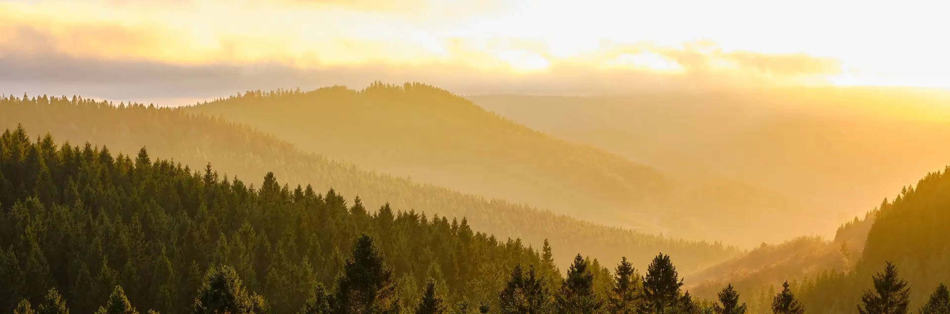 Urlaub im Sauerland - H-Hotels.com - Offizielle Webseite