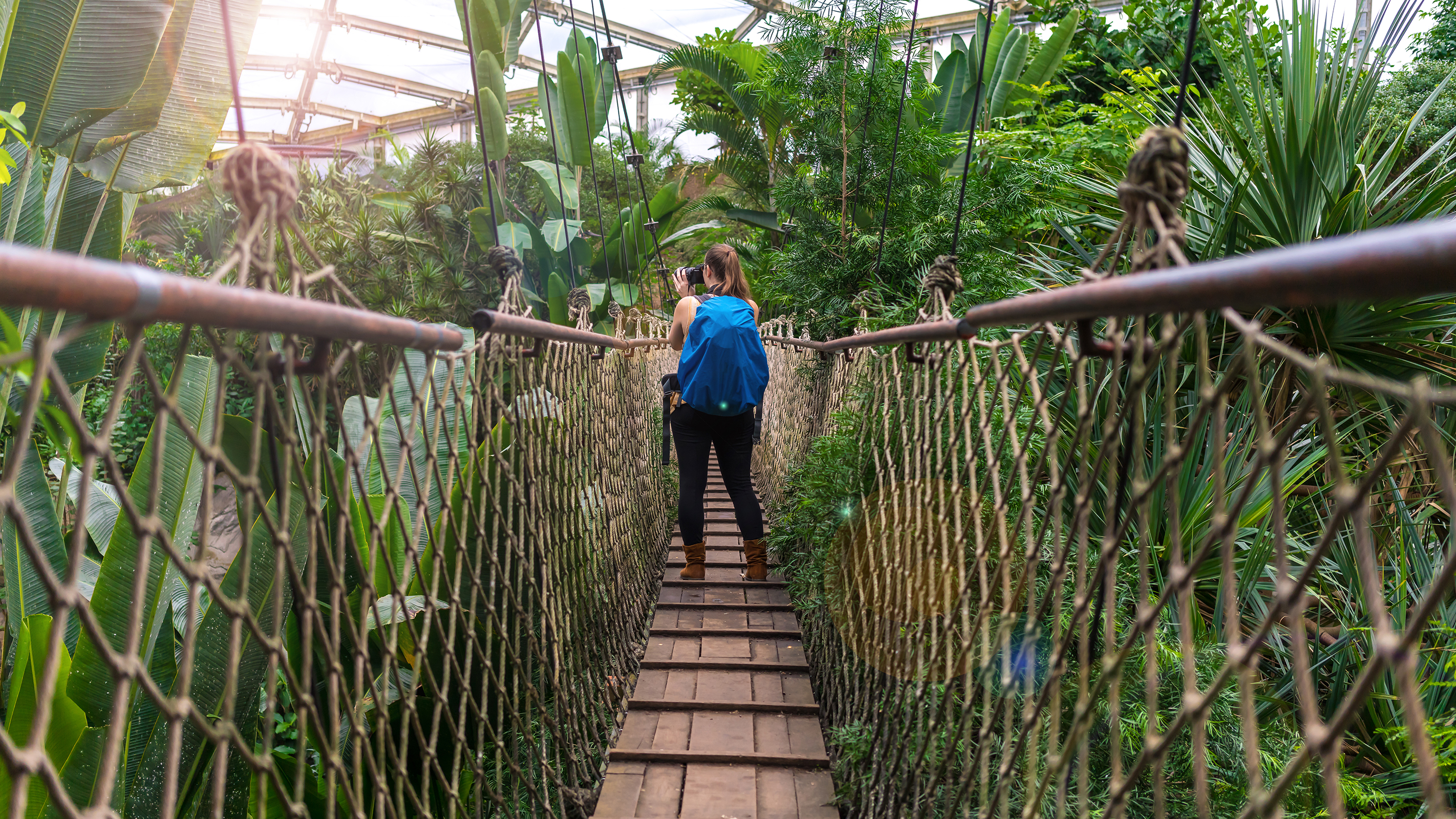 Gondwanaland | H-Hotels.com Gondwanaland | H-Hotels.com