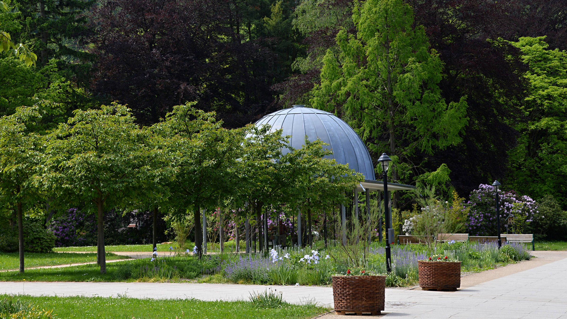 Rosengarten in Friedrichroda - H+ Hotel & Spa Friedrichroda - Offizielle Webseite Rosengarten in Friedrichroda - H+ Hotel & Spa Friedrichroda - Offizielle Webseite