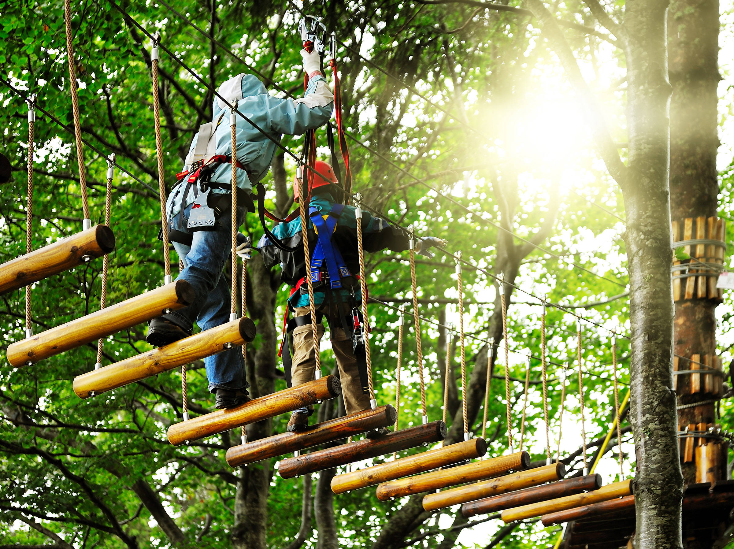 Seilpark Gordola in Locarno | H-Hotels.com Seilpark Gordola in Locarno | H-Hotels.com