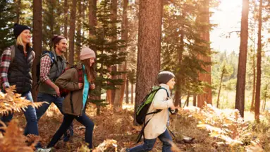 Vierköpfige Familie läuft hintereinander durch einen Herbstwald.