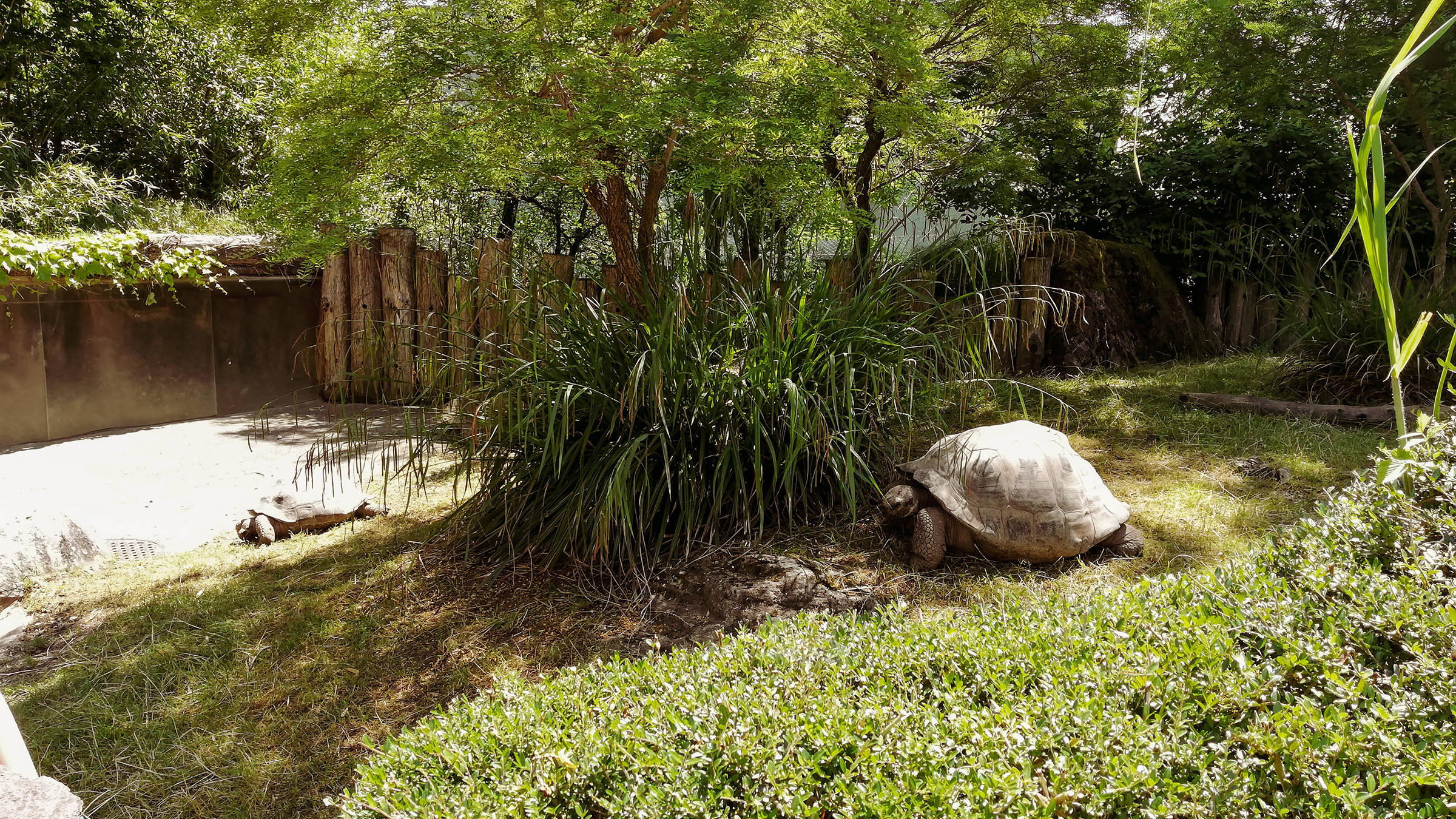 Zoo Zürich - H+ Hotel Zürich - Offizielle Webseite Zoo Zürich - H+ Hotel Zürich - Offizielle Webseite