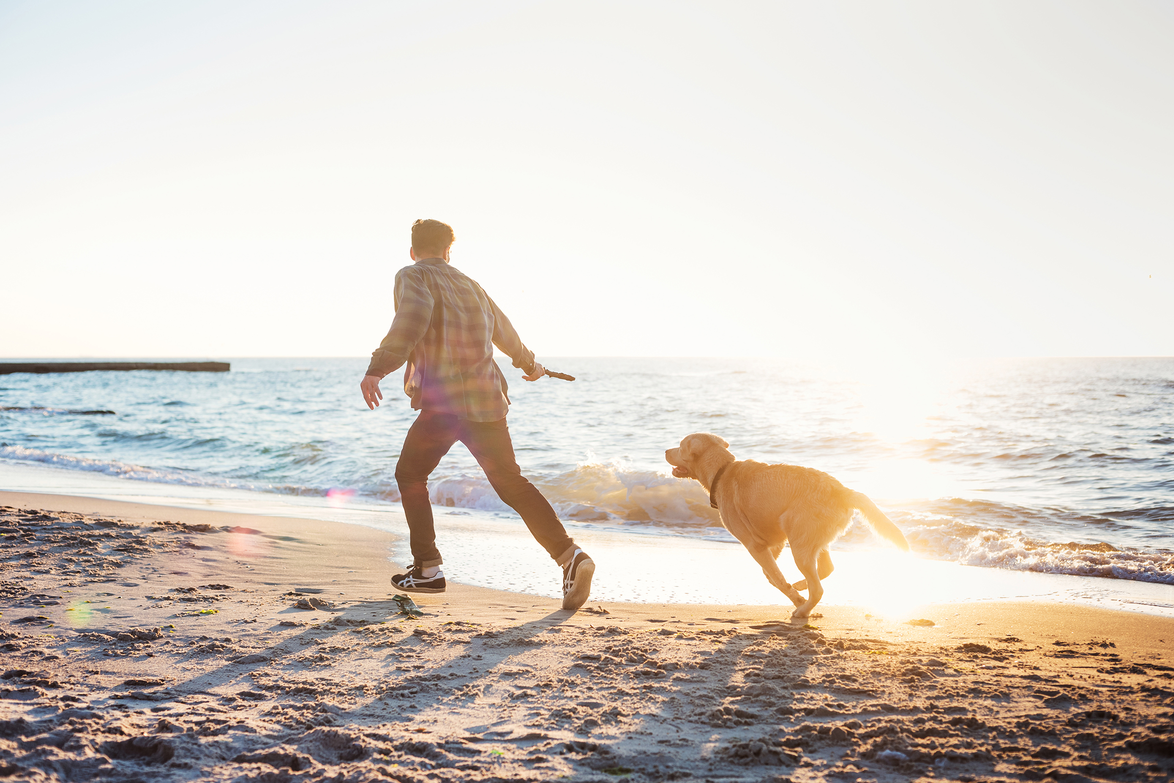 Hundeurlaub am Grömitzer Hundestrand - H-Hotels.com - Offizielle Webseite Hundeurlaub am Grömitzer Hundestrand - H-Hotels.com - Offizielle Webseite