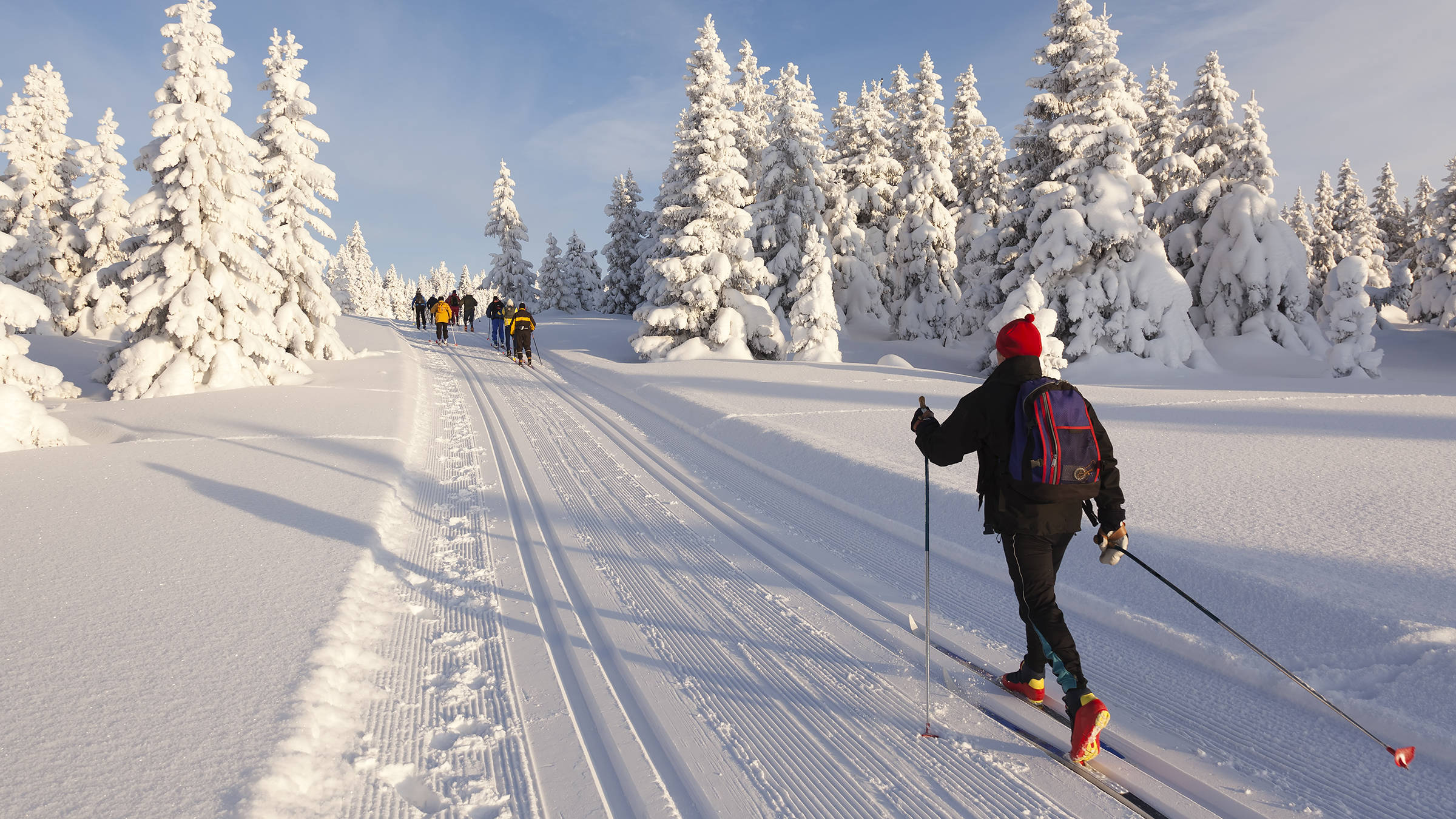 Skilanglauf im Winterurlaub - H-Hotels.com - Offizielle Webseite Skilanglauf im Winterurlaub - H-Hotels.com - Offizielle Webseite