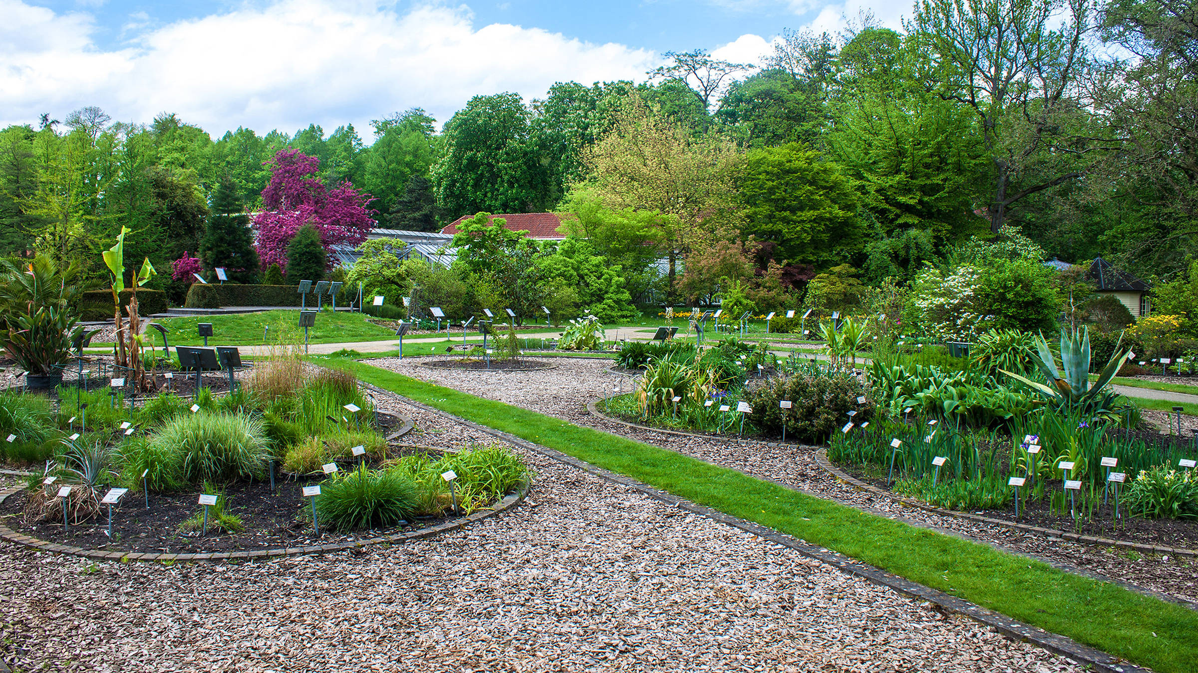 Botanischer Garten in Münster | H-Hotels.com Botanischer Garten in Münster | H-Hotels.com