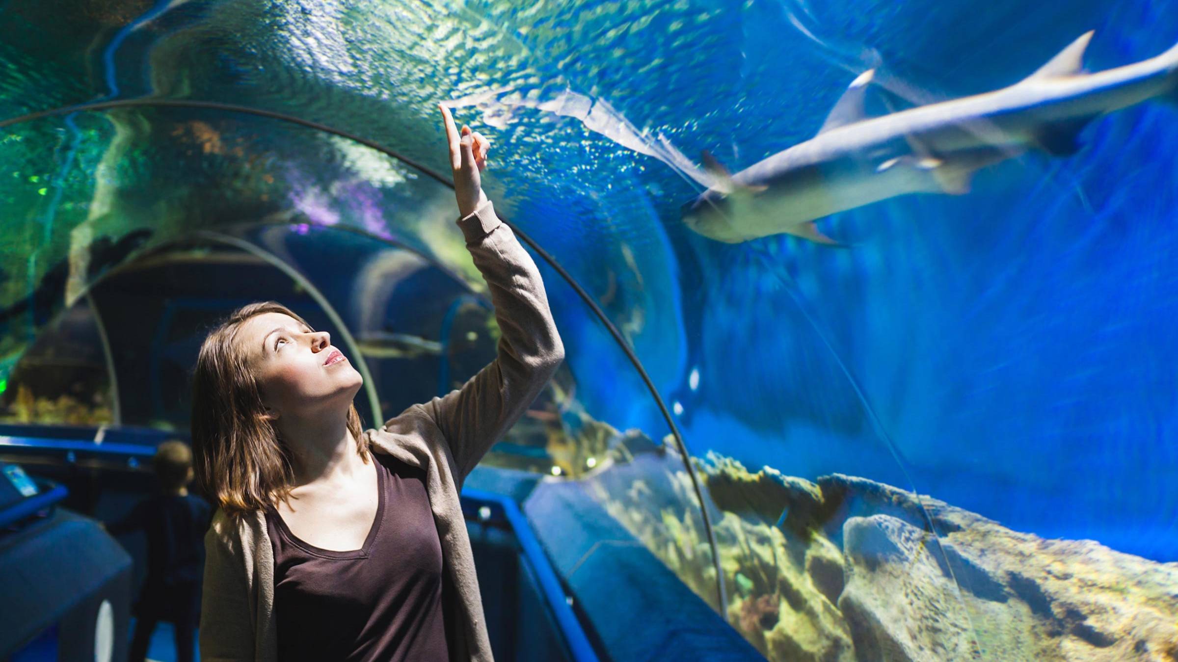 Aquarium near the Hyperion Hotel Salzburg - Official website Aquarium near the Hyperion Hotel Salzburg - Official website