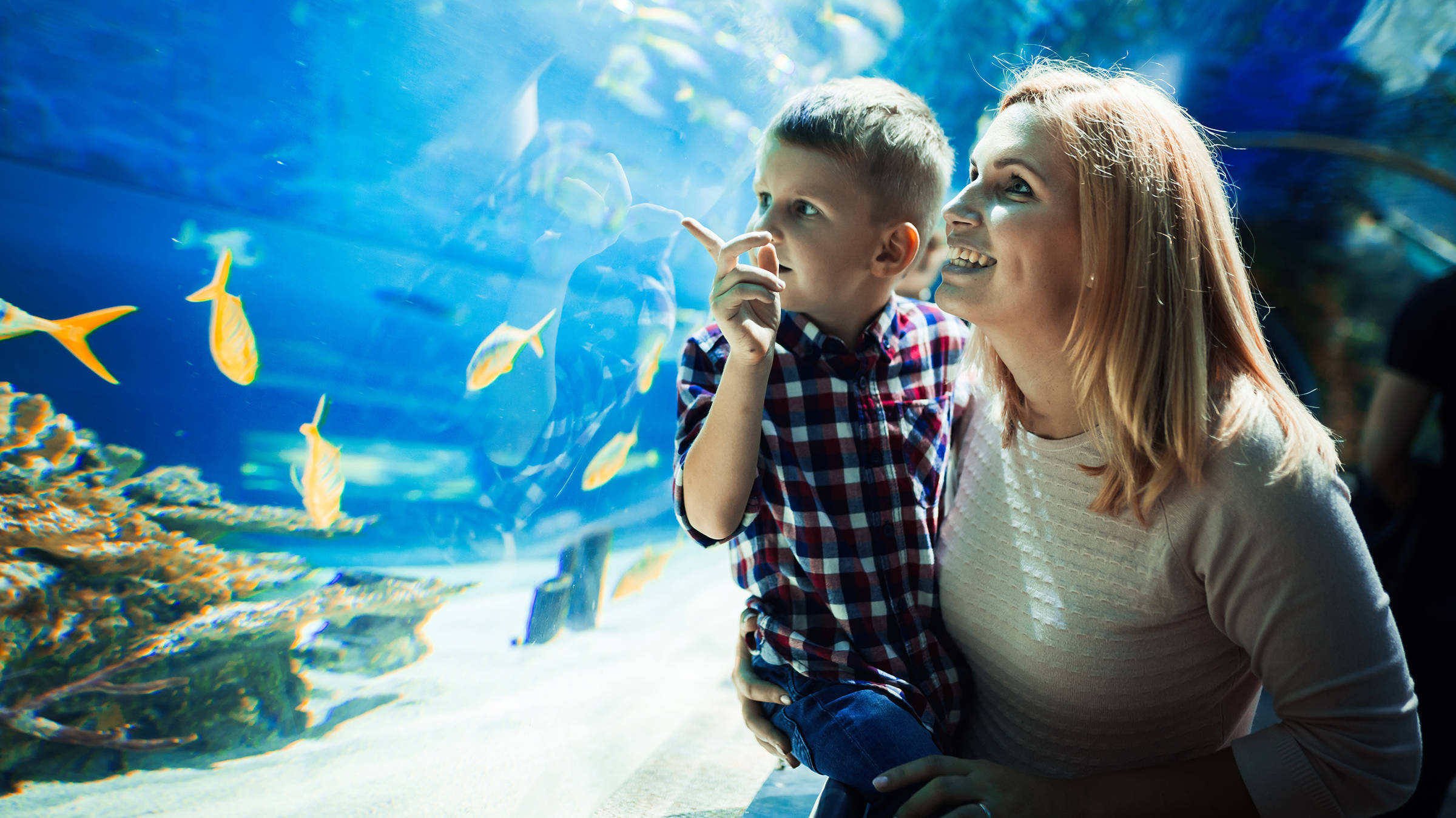 Aquarium in Salzburg | H-Hotels.com Aquarium in Salzburg | H-Hotels.com