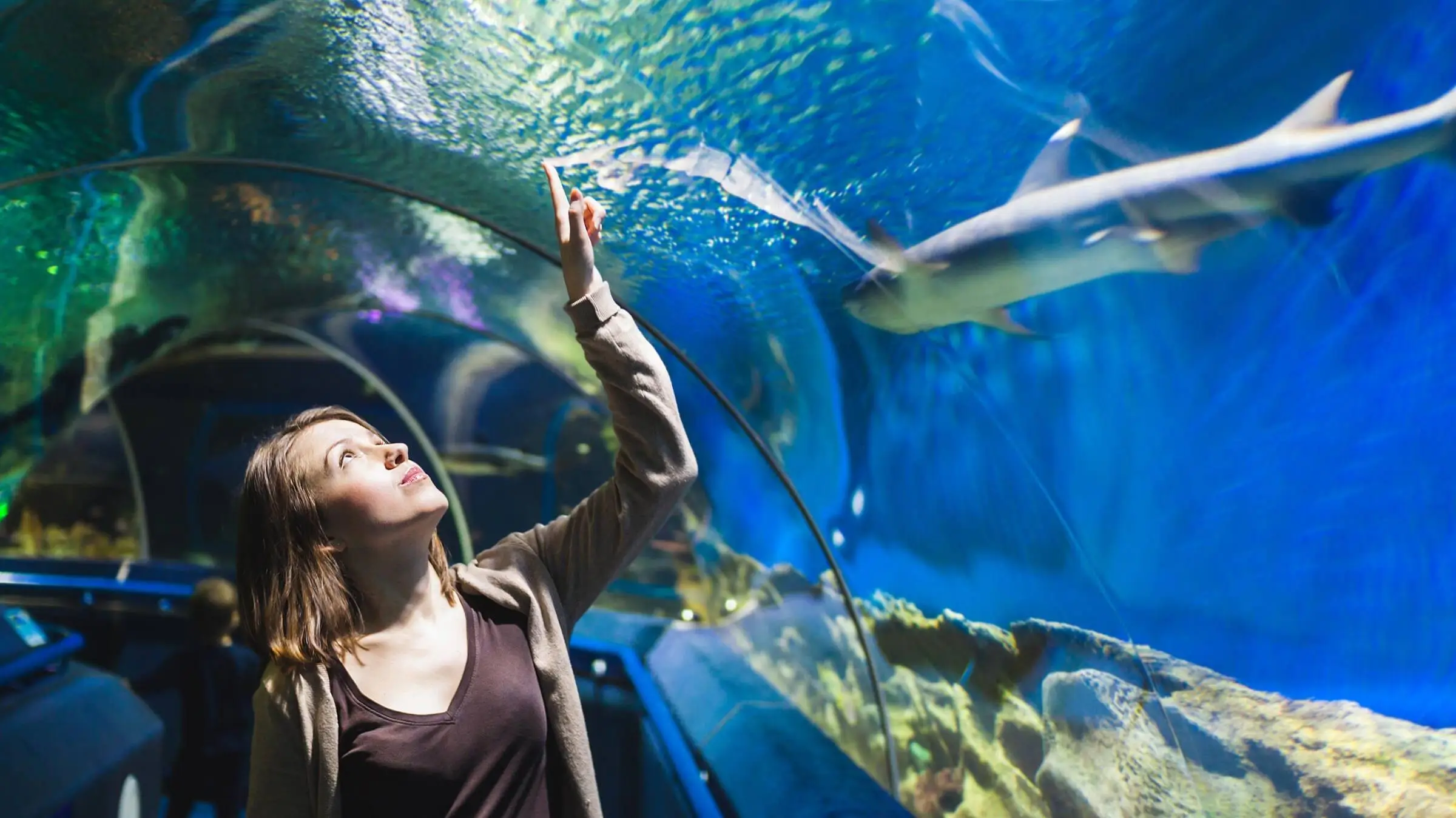 Frau steht unter einer Aquariumröhre über ihr schwimmt ein Hai