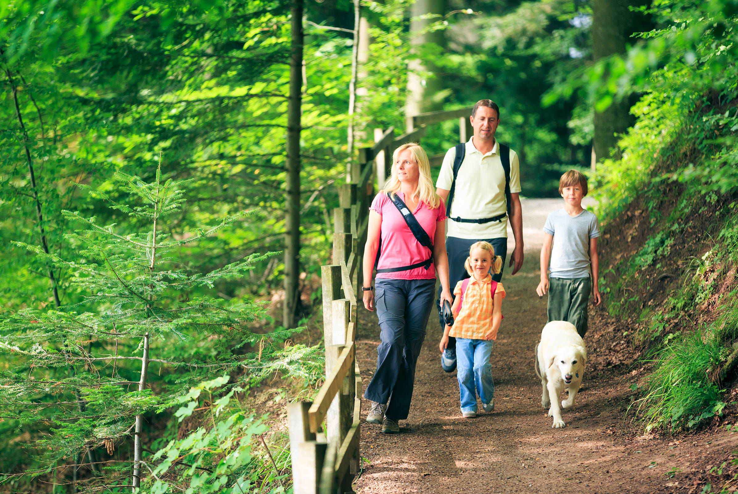 Wanderrouten durch den Wald - H+ Hotel Willingen - Offizielle Webseite Wanderrouten durch den Wald - H+ Hotel Willingen - Offizielle Webseite