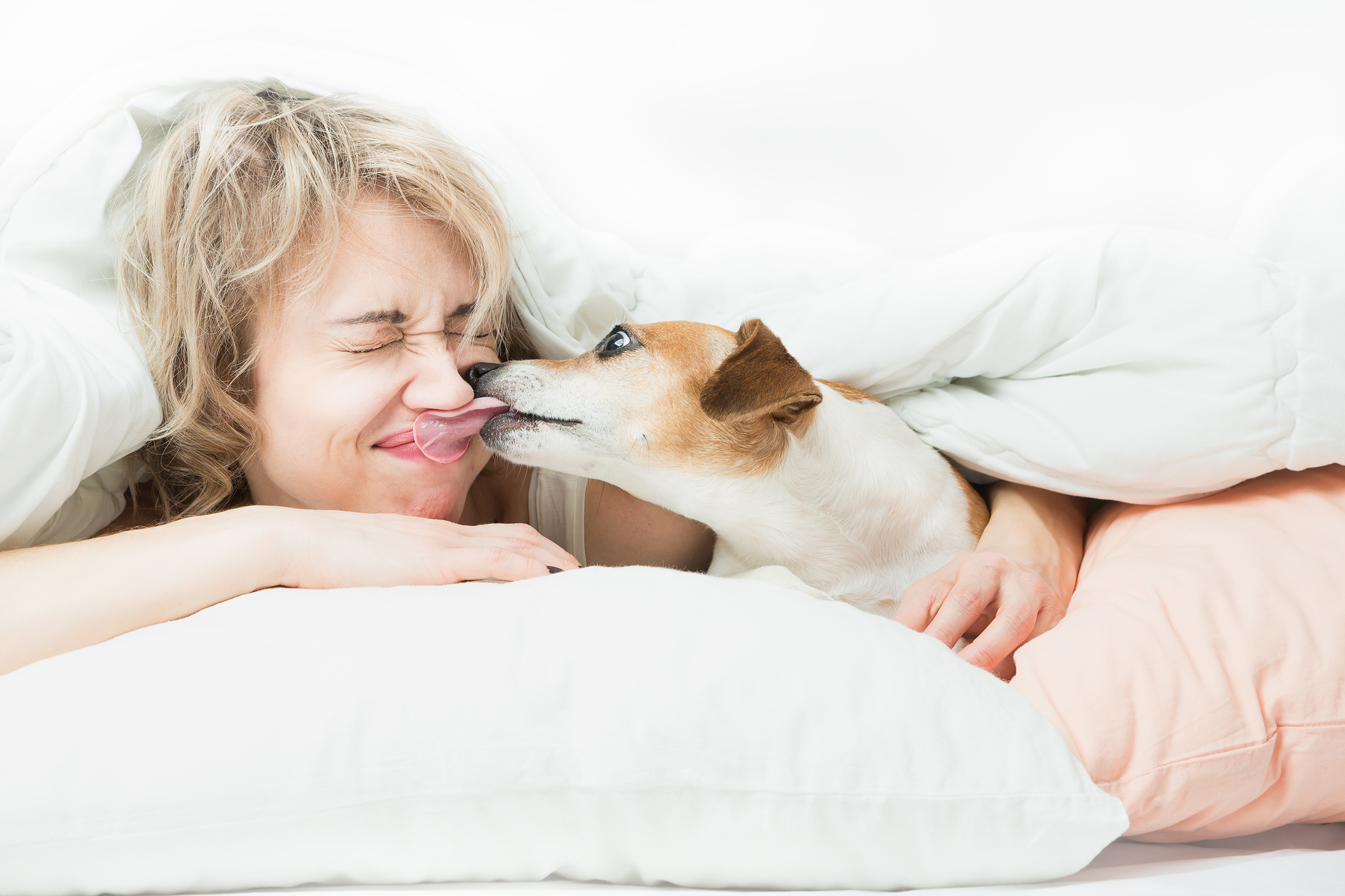 Urlaub mit Hund - H-Hotels.com - Offizielle Webseite Urlaub mit Hund - H-Hotels.com - Offizielle Webseite