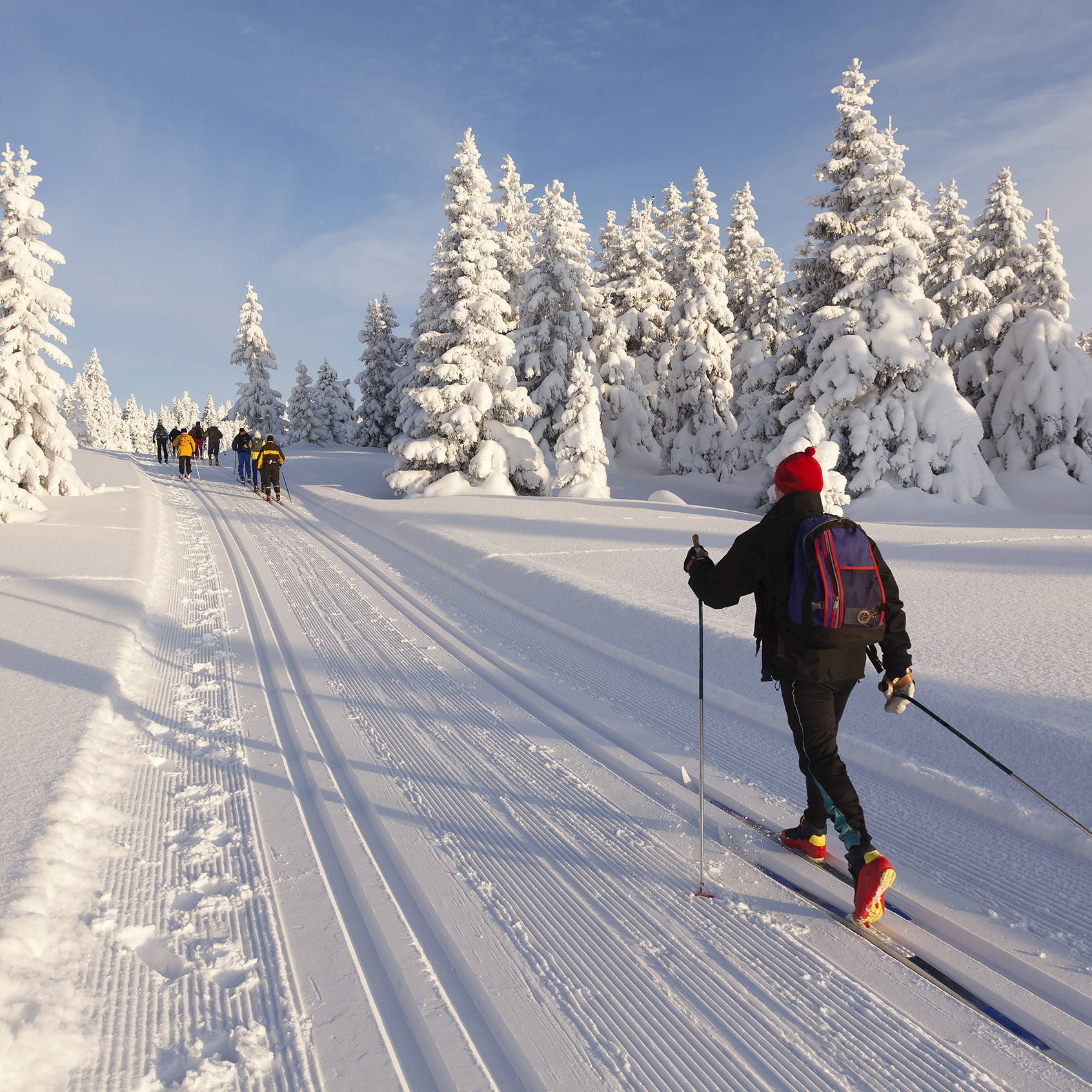 Skilanglauf im Harz - H-Hotels.com - Offizielle Webseite Skilanglauf im Harz - H-Hotels.com - Offizielle Webseite