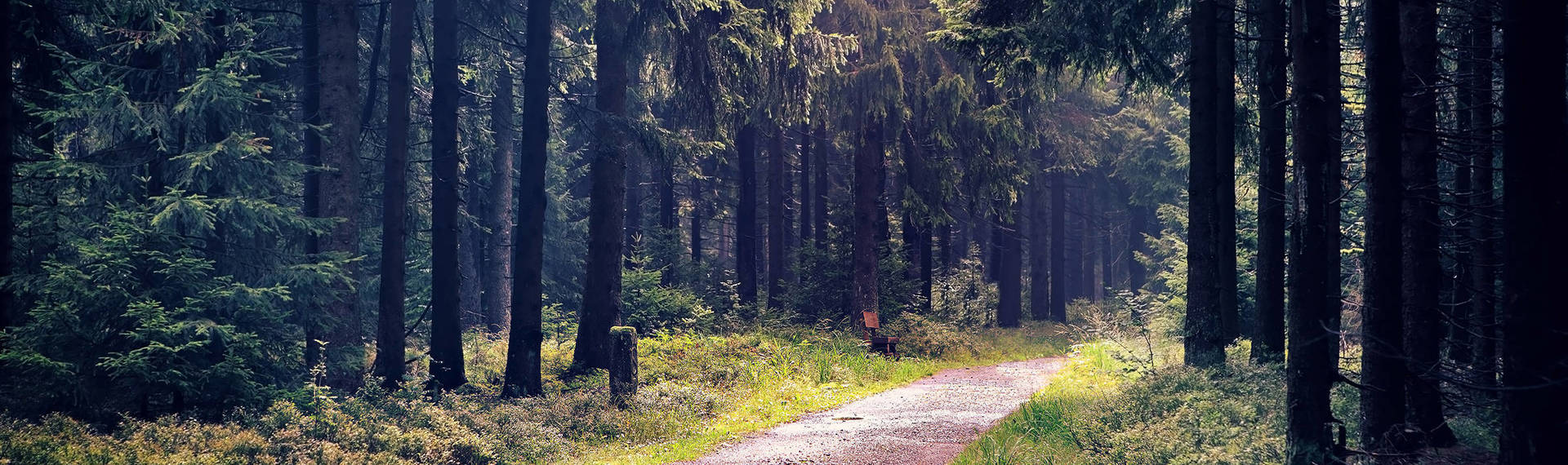 Urlaub im Thüringer Wald mit H-Hotels.com - Offizielle Webseite