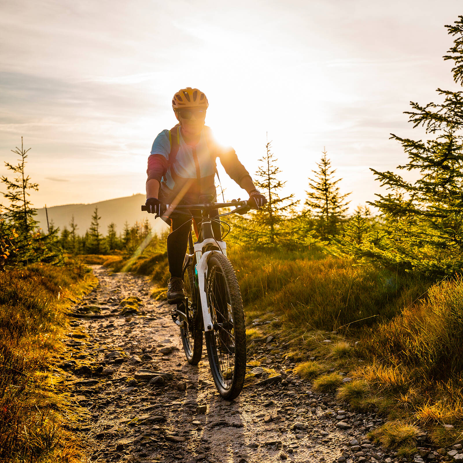 Mountainbiker fährt eine Offroad Strecke entlang während die Sonne untergeht.