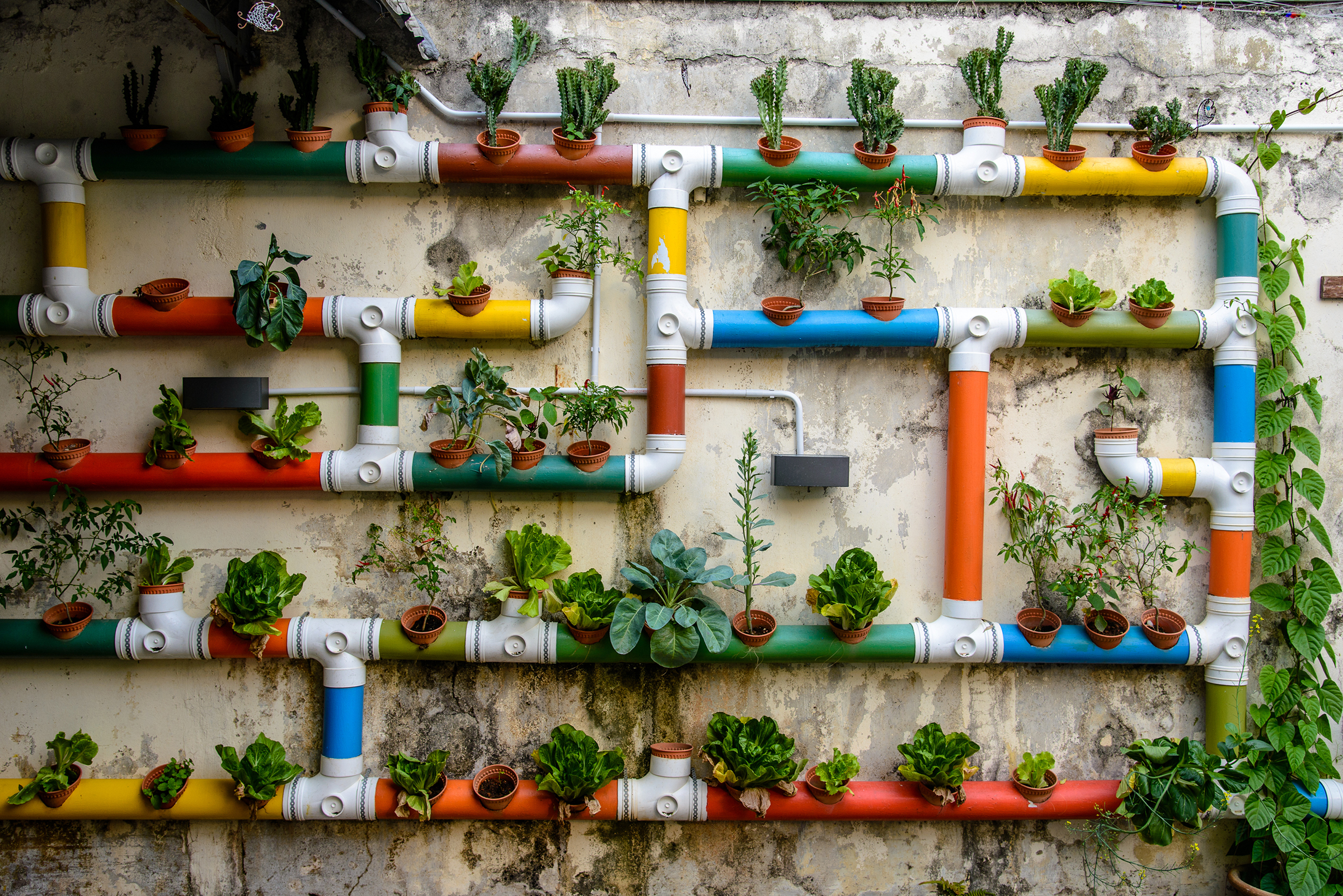Incentive Urban Gardening- Tagungen mit H-Hotels.com Incentive Urban Gardening - Tagungen mit H-Hotels.com