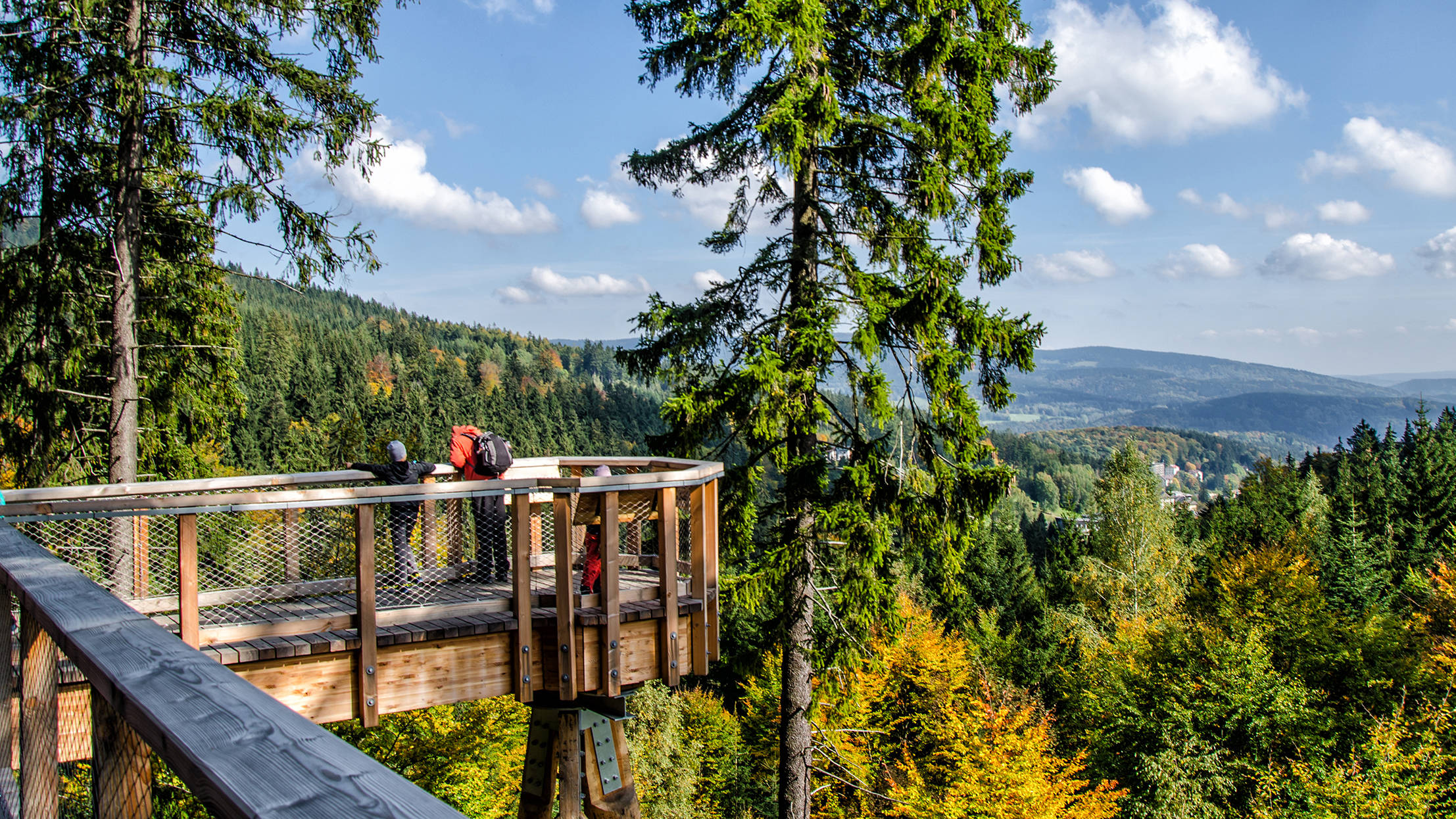 Skywalk at the nature adventure park - H+ Hotel Oberstaufen Skywalk at the nature adventure park - H+ Hotel Oberstaufen
