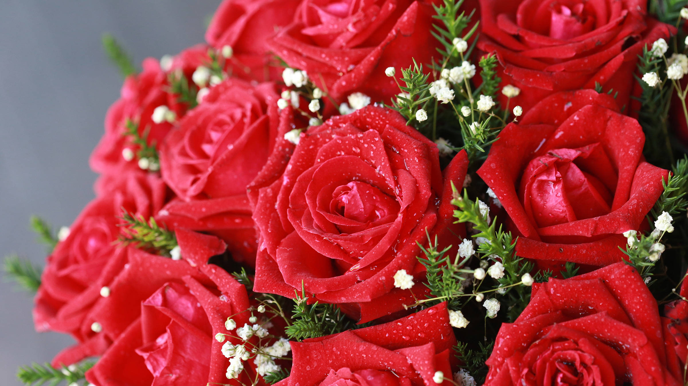 Rose garden in Friedrichroda - H+ Hotel & SPA Friedrichroda - Official website Rose garden in Friedrichroda - H+ Hotel & SPA Friedrichroda - Official website