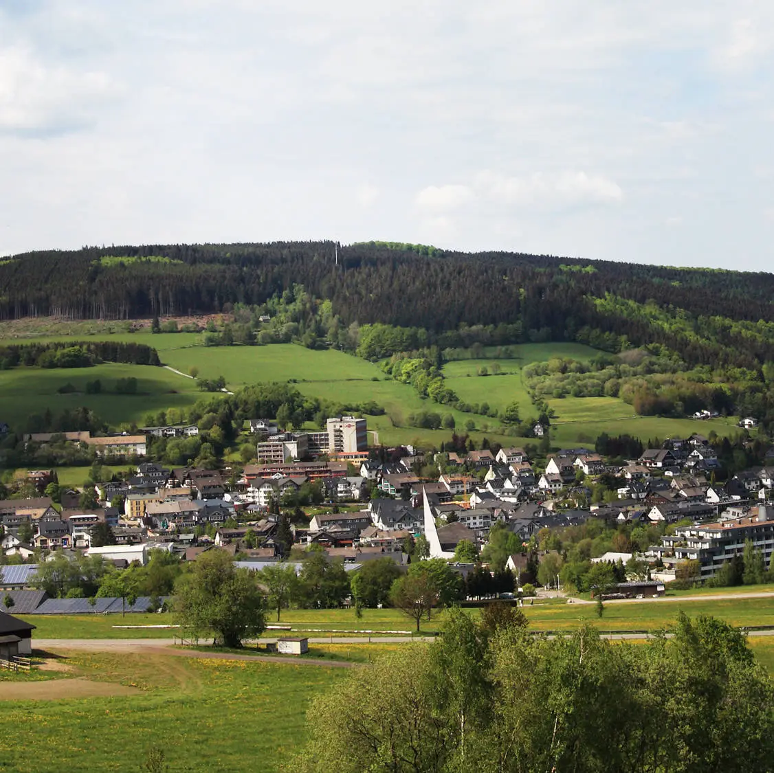 Umgebung von Willingen erkunden - H+ Hotel Willingen - Offizielle Webseite