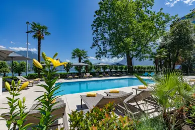 Pool vom H4 Hotel Arcadia Locarno. Im Vordergrund stehen Liegen und eine große gelbe Blume.