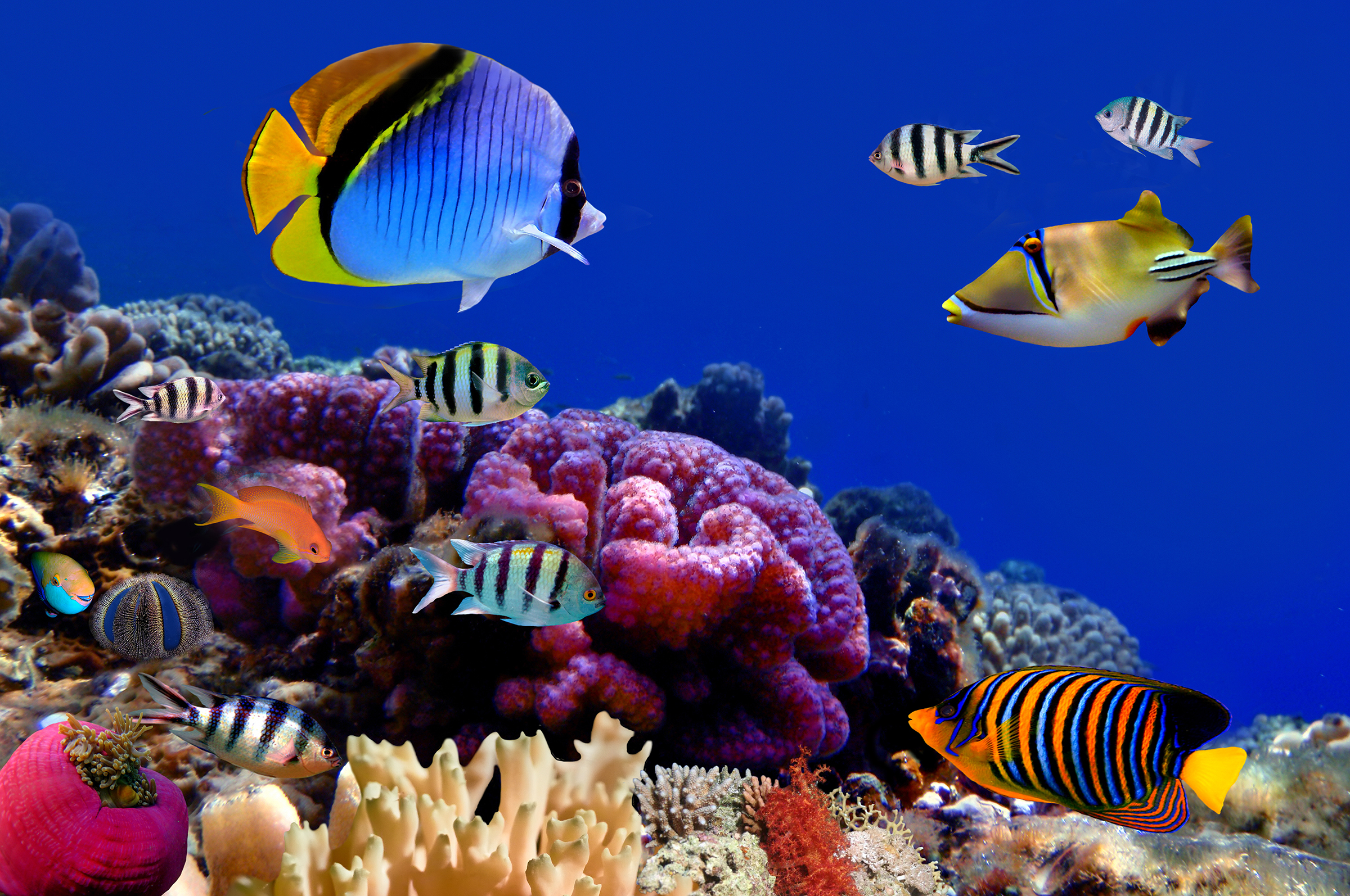 Aquarium - Städtereise Wien - H-Hotels.com Aquarium - Städtereise Wien - H-Hotels.com