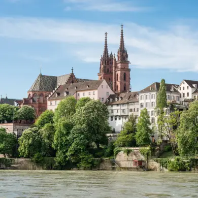 Blick auf das Basler Münster vom Rhein aus. Vor dem Münster stehen alte Häuser und Bäume.