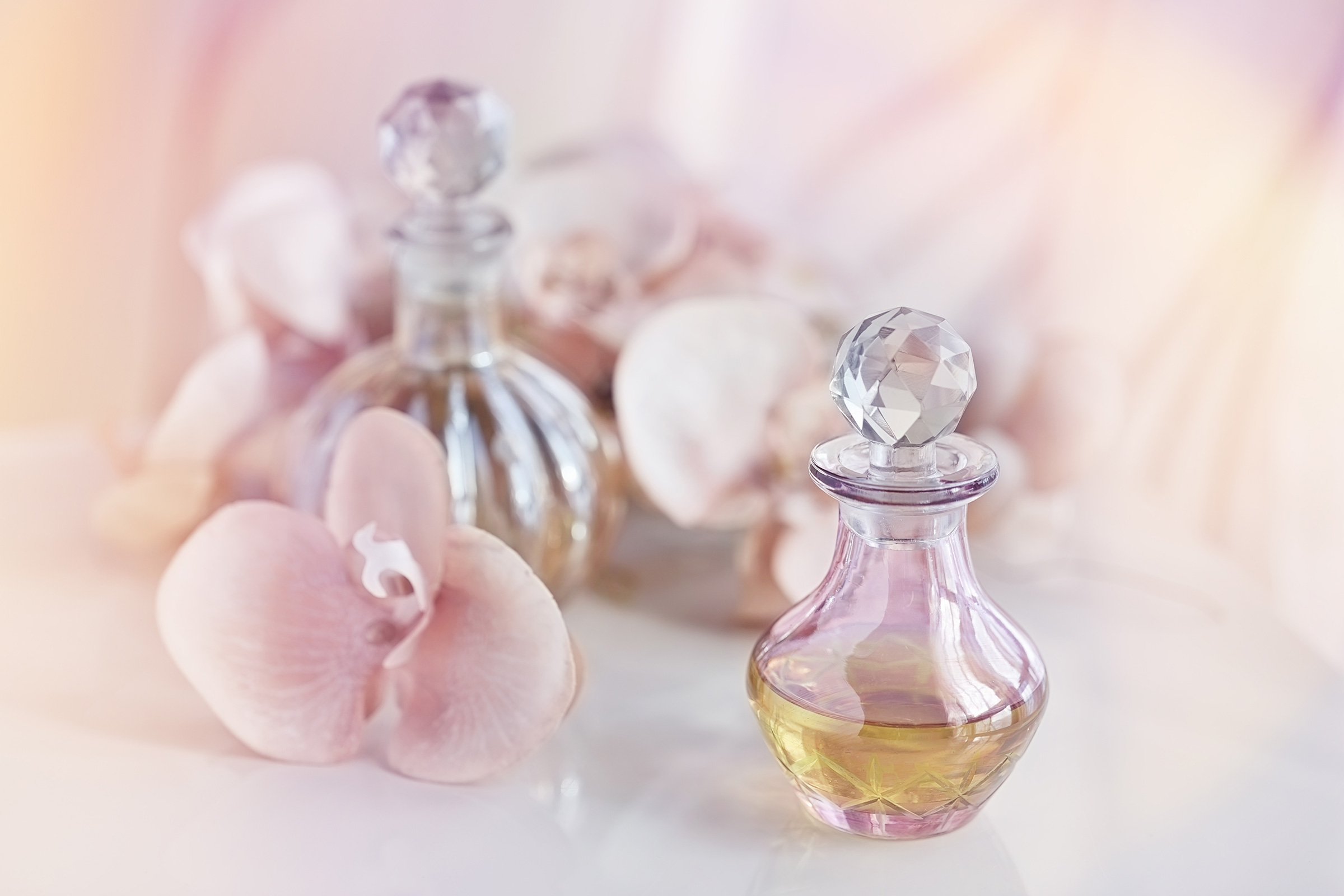 Fragrance museum - H+ Hotel Köln Hürth - Official website Fragrance museum - H+ Hotel Köln Hürth - Official website