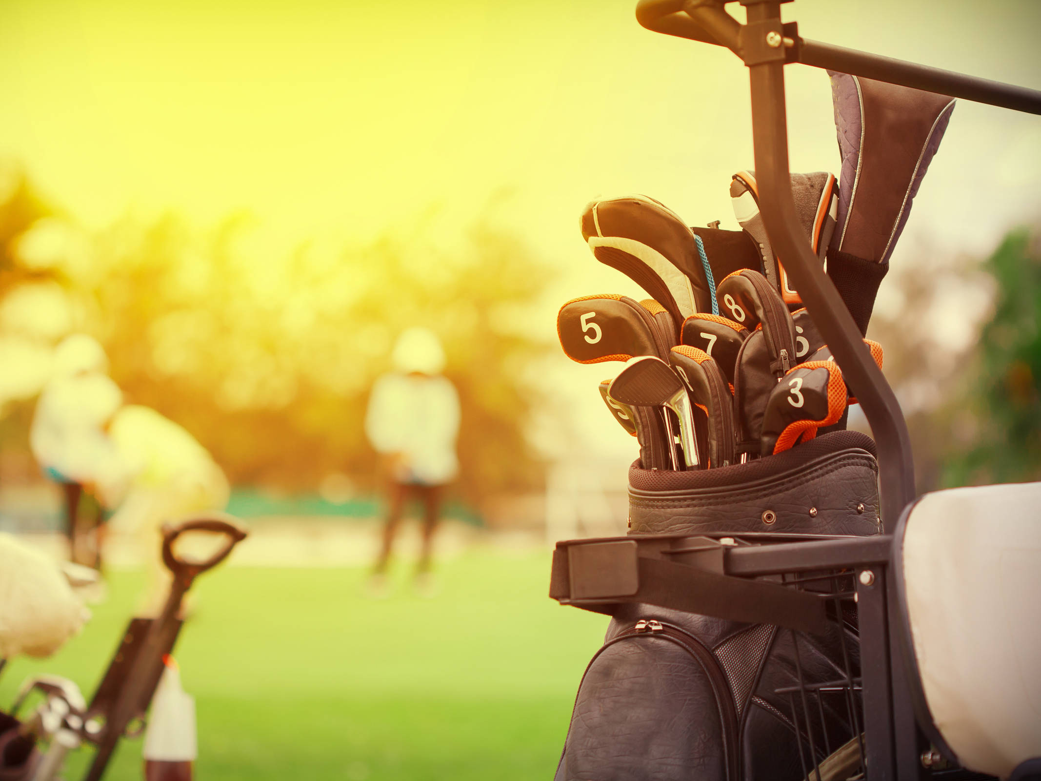 Golfpark in Leipzig | H-Hotels.com Golfpark in Leipzig | H-Hotels.com