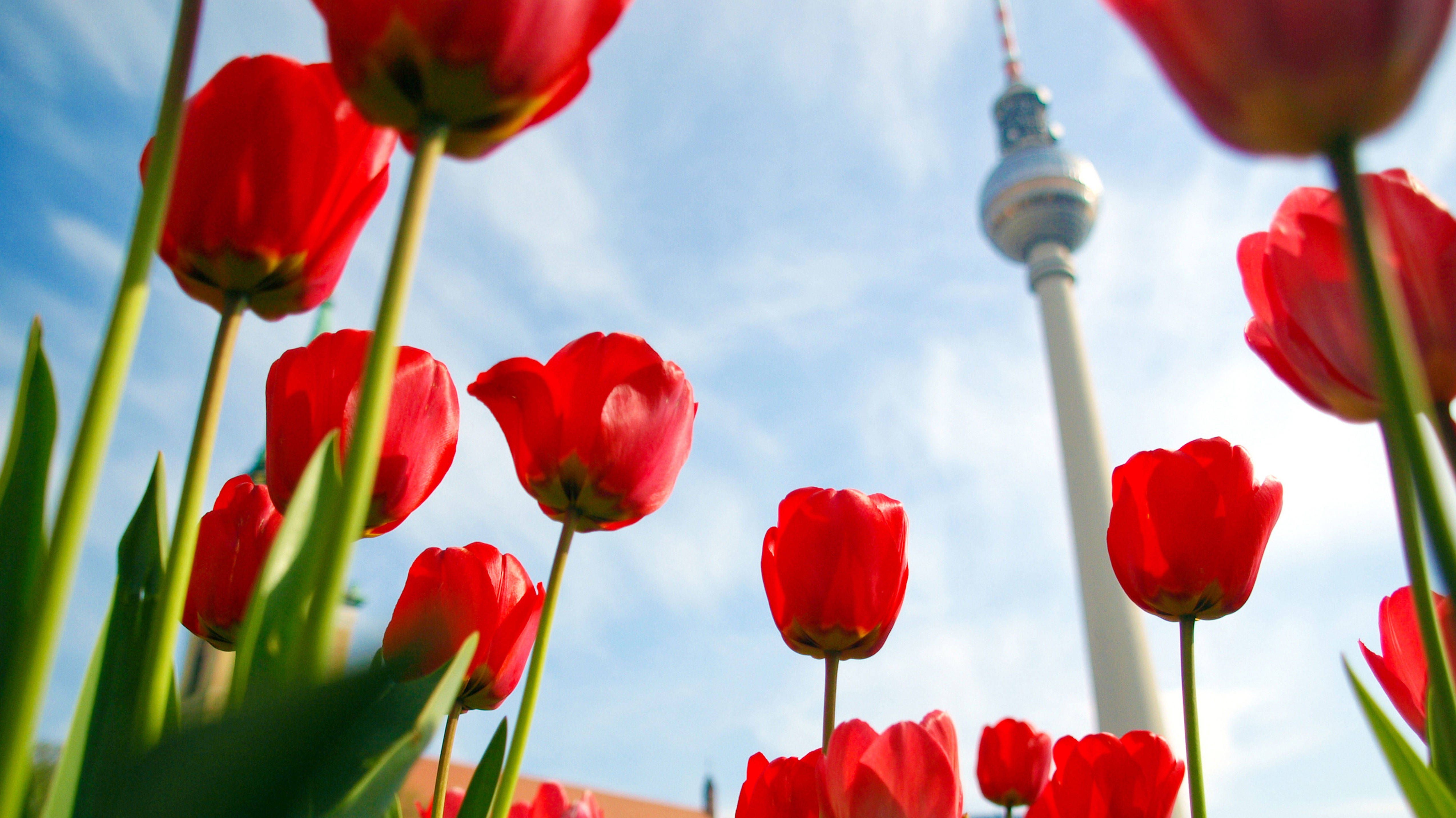Обзорный вид с телевизионной башней рядом H4 Hotel Berlin Alexanderplatz - официальный веб-сайт