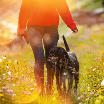 Urlaub in der Natur mit Hund - H-Hotels.com - Offizielle Webseite