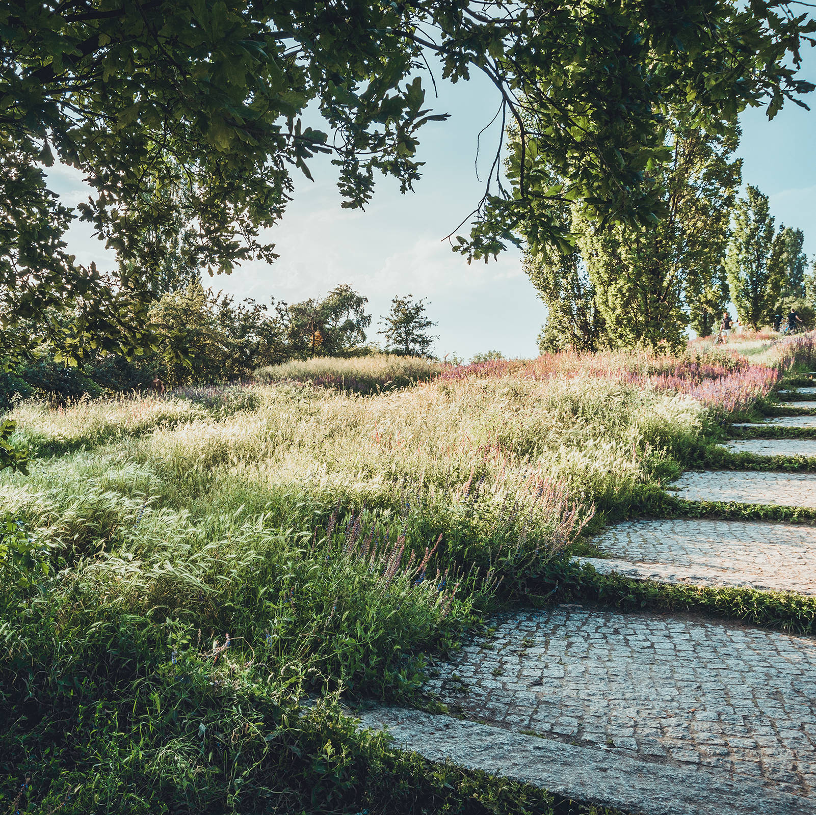 Grünflächen am Mauerpark | H-Hotels.com Grünflächen am Mauerpark | H-Hotels.com