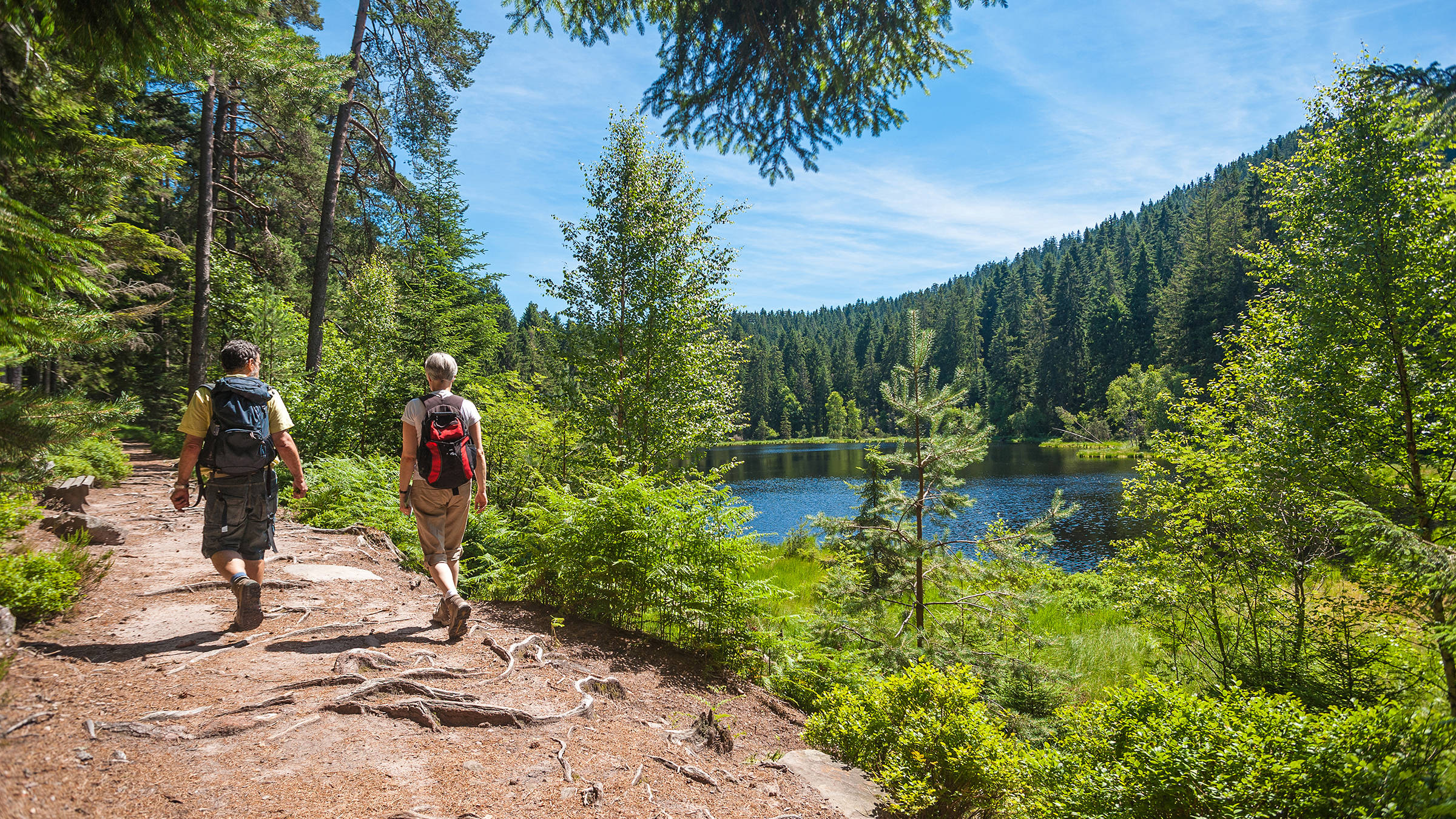 Wandern im Schwarzwald - H+ Hotel Stuttgart Herrenberg - Offizielle Webseite