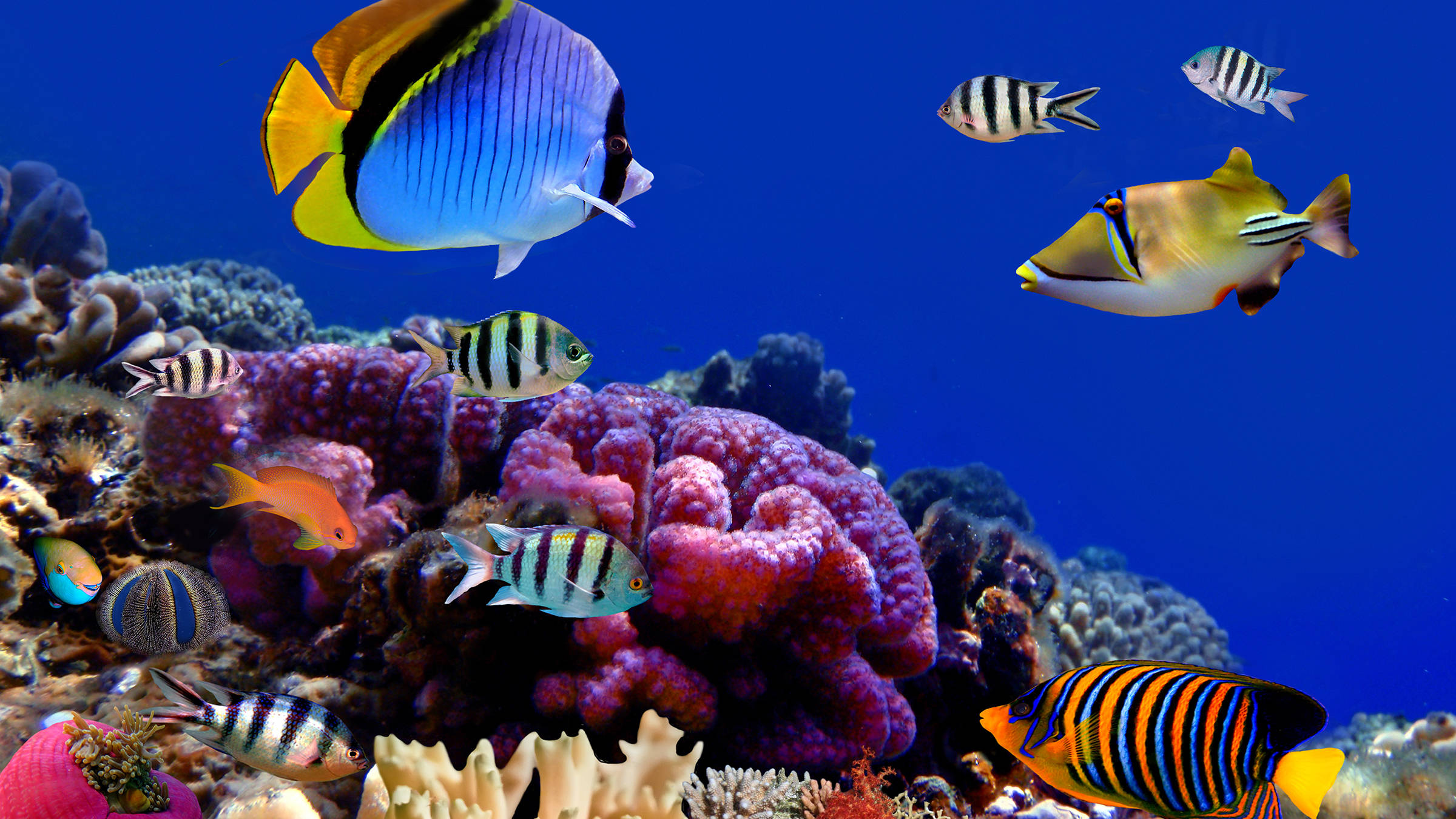 Aquarium in Salzburg | H-Hotels.com Aquarium in Salzburg | H-Hotels.com
