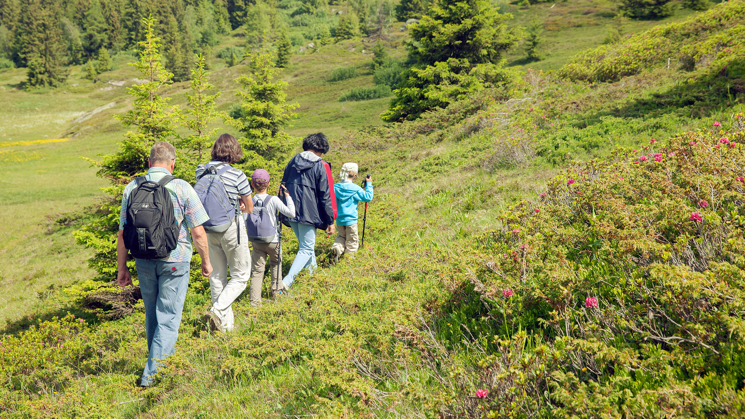 Wandern im Schwarzwald mit der ganzen Familie - H-Hotels.com - Offizielle Webseite Wandern im Schwarzwald mit der ganzen Familie - H-Hotels.com - Offizielle Webseite