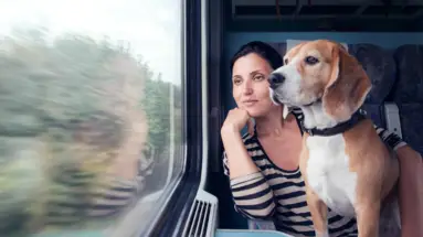 Eine Frau sitzt mit ihrem Hund in einem fahrenden Zug. Beide schauen aus dem Fenster.