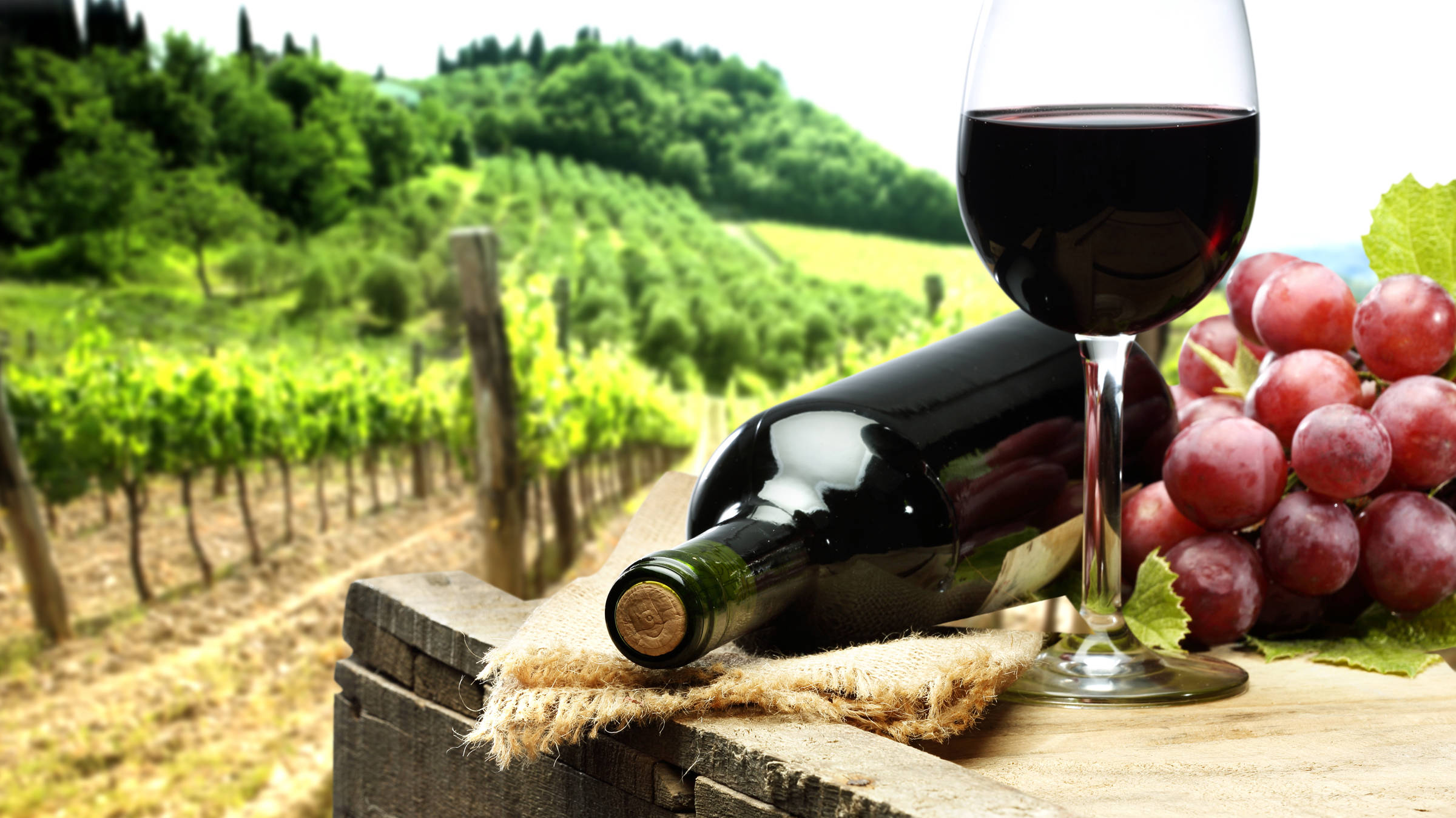 Leckere Weine aus Tessin | H-Hotels.com Leckere Weine aus Tessin | H-Hotels.com