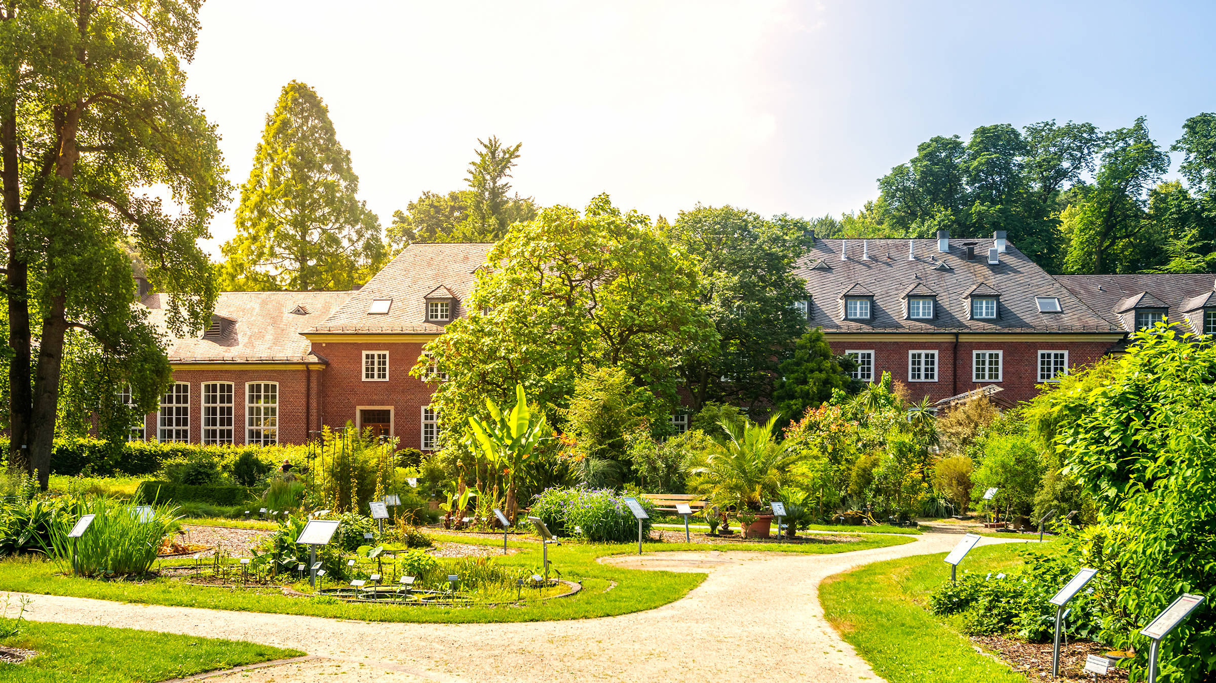 Botanische Tuin - H-Hotels.com - Officiële Website Botanische Tuin - H-Hotels.com - Officiële Website