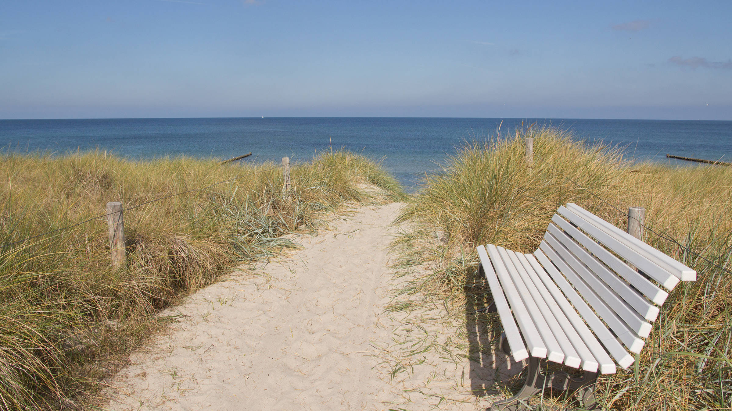 Natur genießen - H+ Hotel Ferienpark Usedom - Offizielle Webseite Natur genießen - H+ Hotel Ferienpark Usedom - Offizielle Webseite