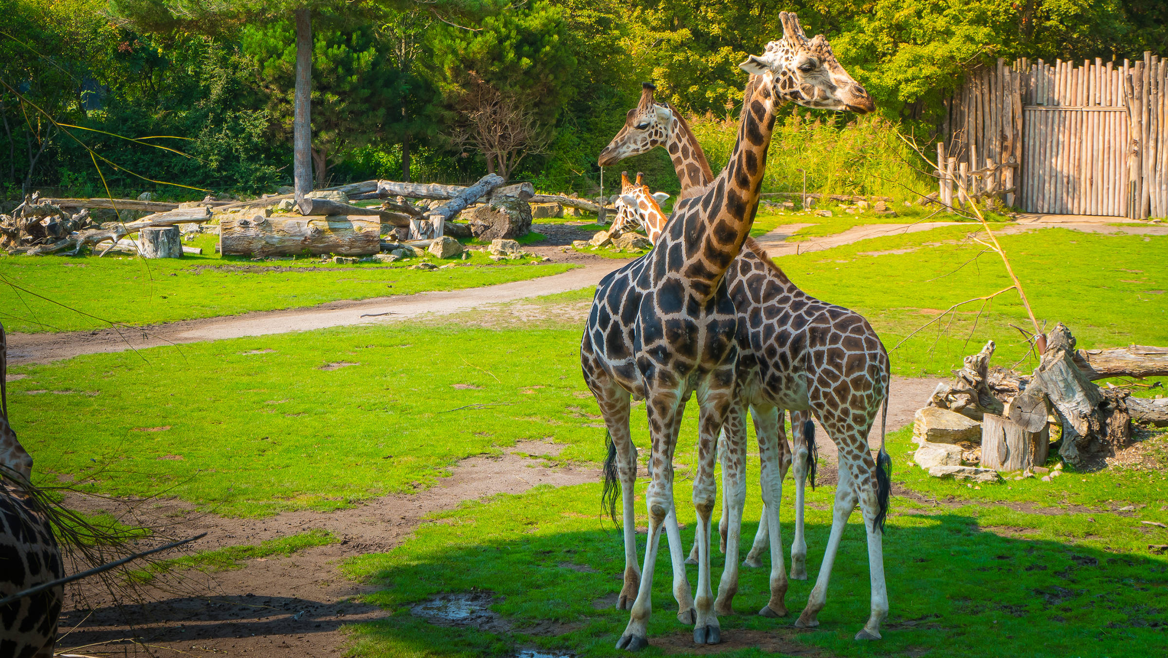 Zoo Leipzig - H4 Hotel Leipzig - Offizielle Webseite Zoo Leipzig - H4 Hotel Leipzig - Offizielle Webseite