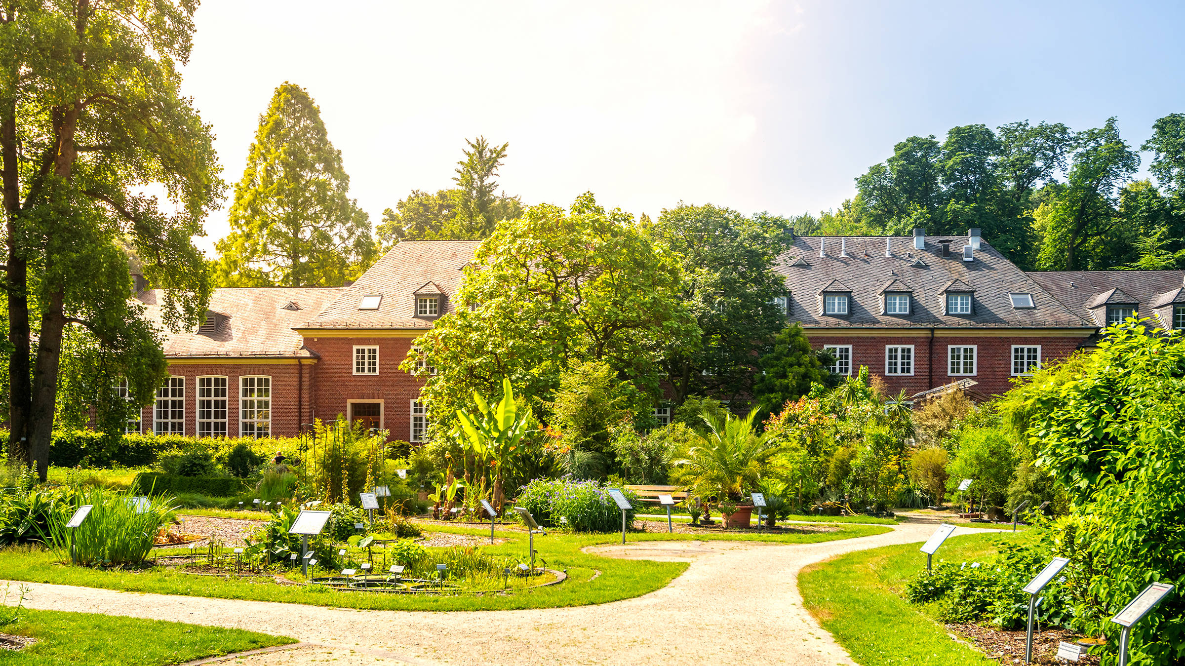 Jardin botanique | H-Hotels.com Jardin botanique | H-Hotels.com