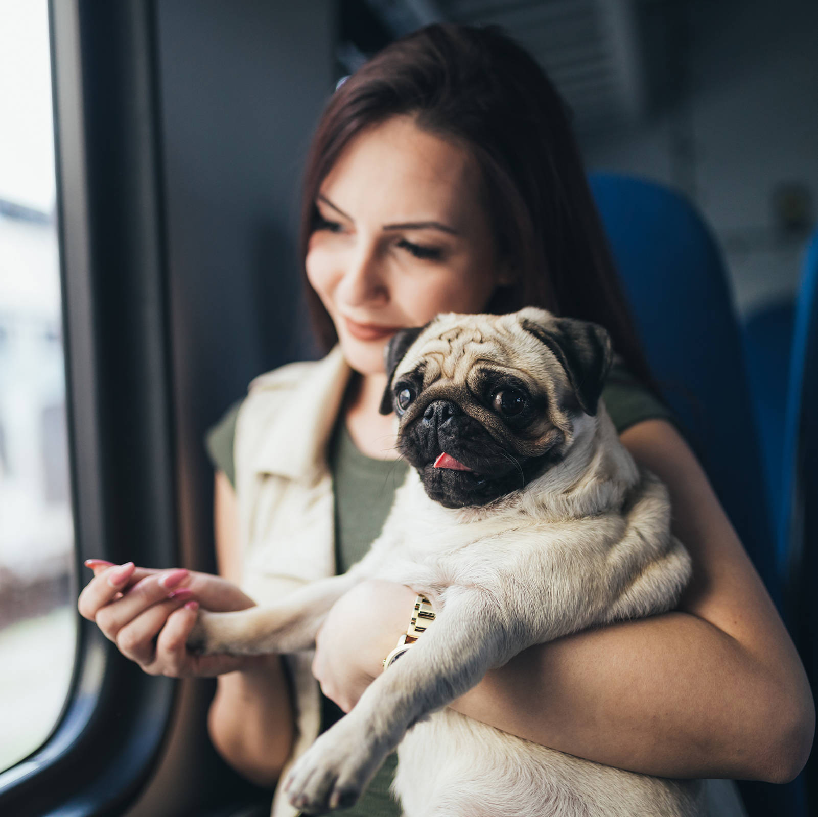 Mit Hund im Zug in den Urlaub - H-Hotels.com - Offizielle Webseite Mit Hund im Zug in den Urlaub - H-Hotels.com - Offizielle Webseite