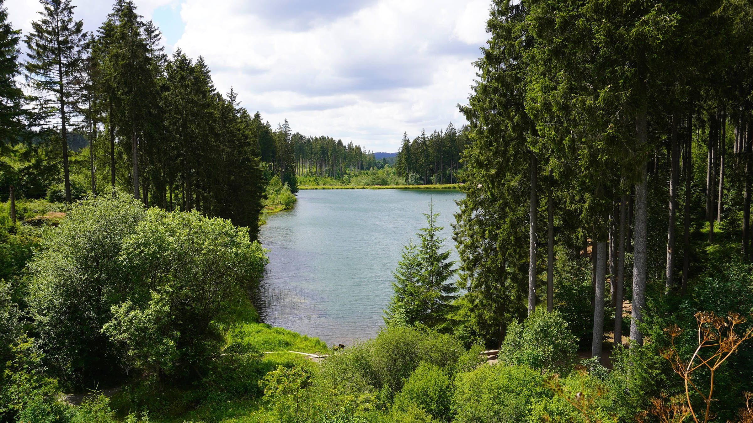 Hiking through the Harz region - H+ Hotel Goslar - Official website Hiking through the Harz region - H+ Hotel Goslar - Official website