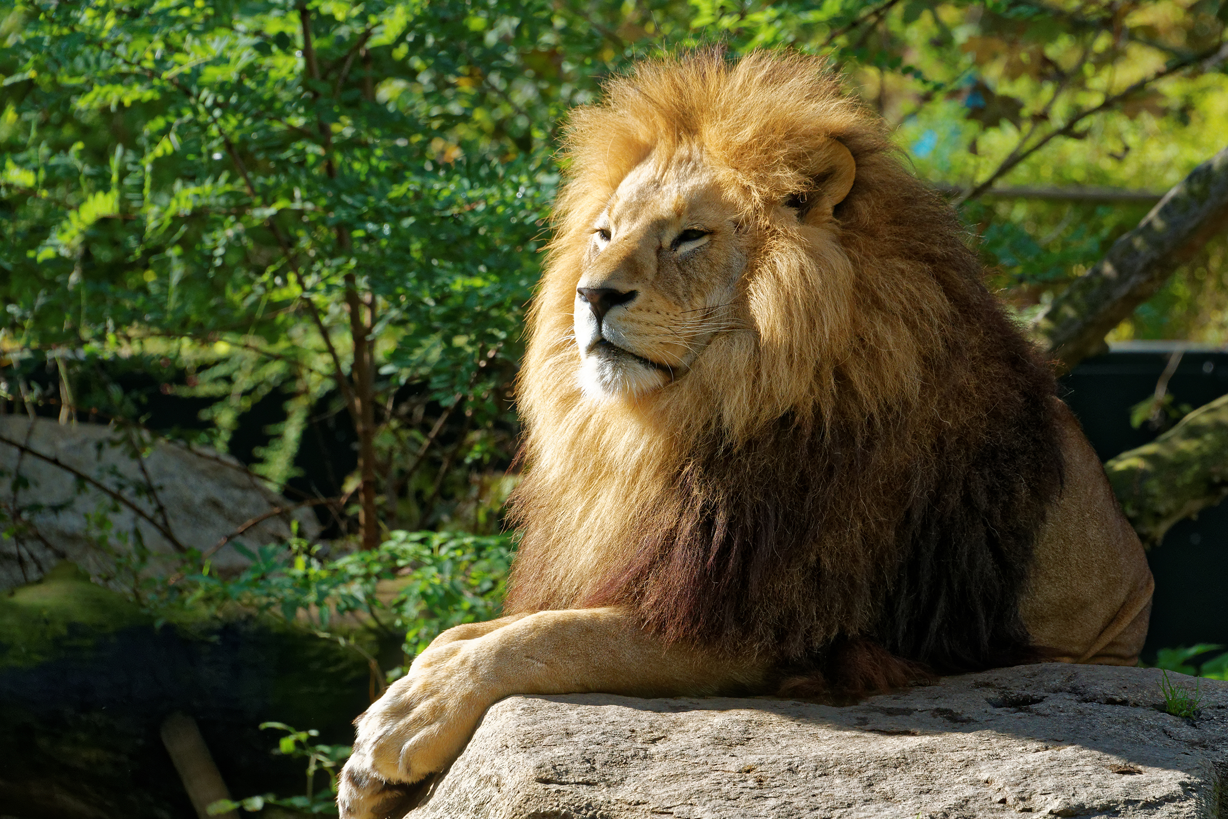 Tierpark Hellabrunn - Städtereise nach München mit H-Hotels.com - Offizielle Webseite Tierpark Hellabrunn - Städtereise nach München mit H-Hotels.com - Offizielle Webseite