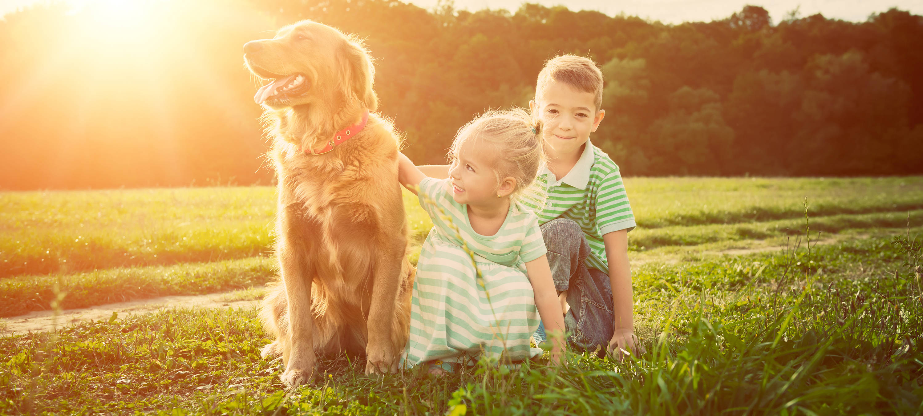 dog-friendly hotels at the H-Hotels - Official website dog-friendly hotels at the H-Hotels - Official website