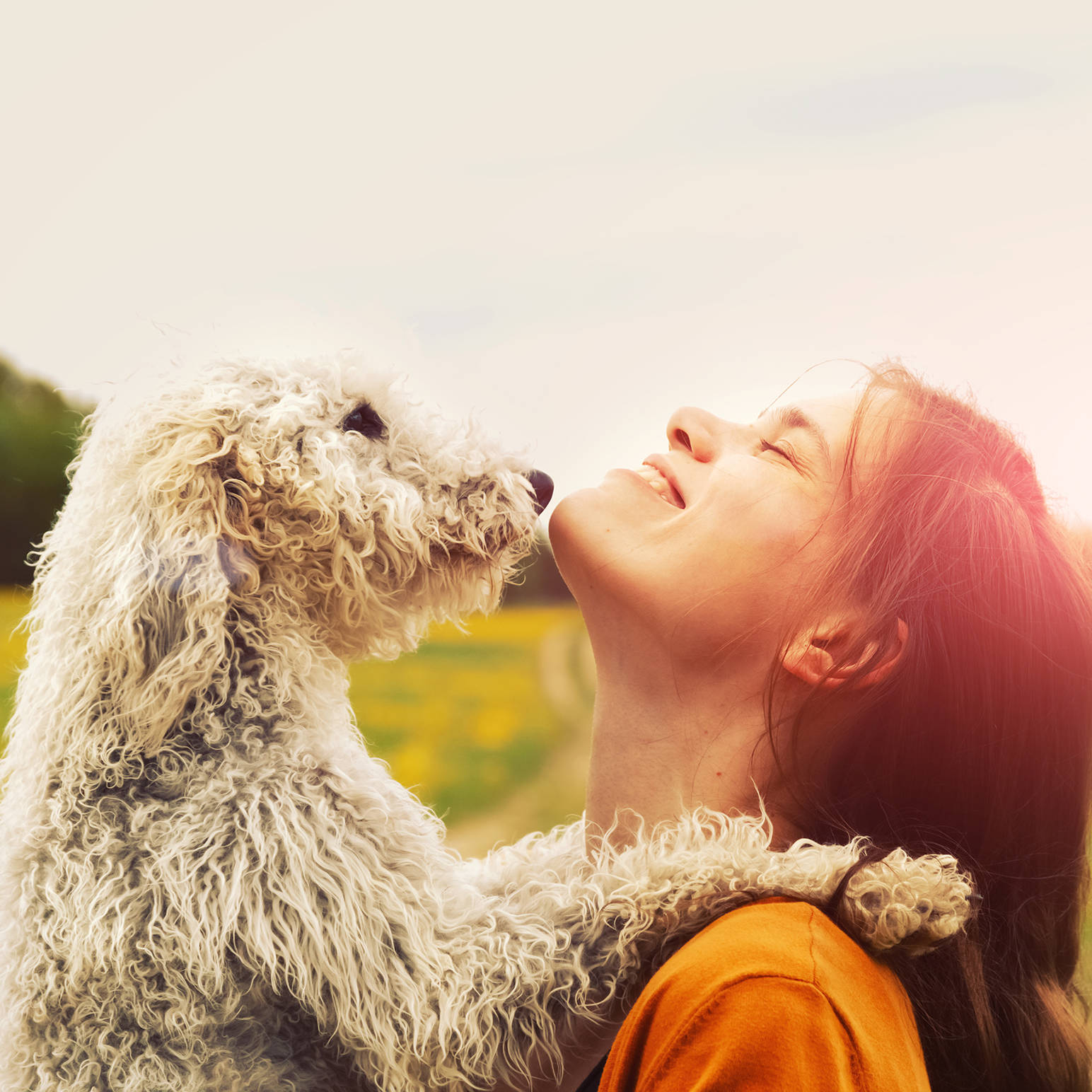 Entspanntes Reisen mit Hund - H-Hotels.com - Offizielle Webseite Entspanntes Reisen mit Hund - H-Hotels.com - Offizielle Webseite
