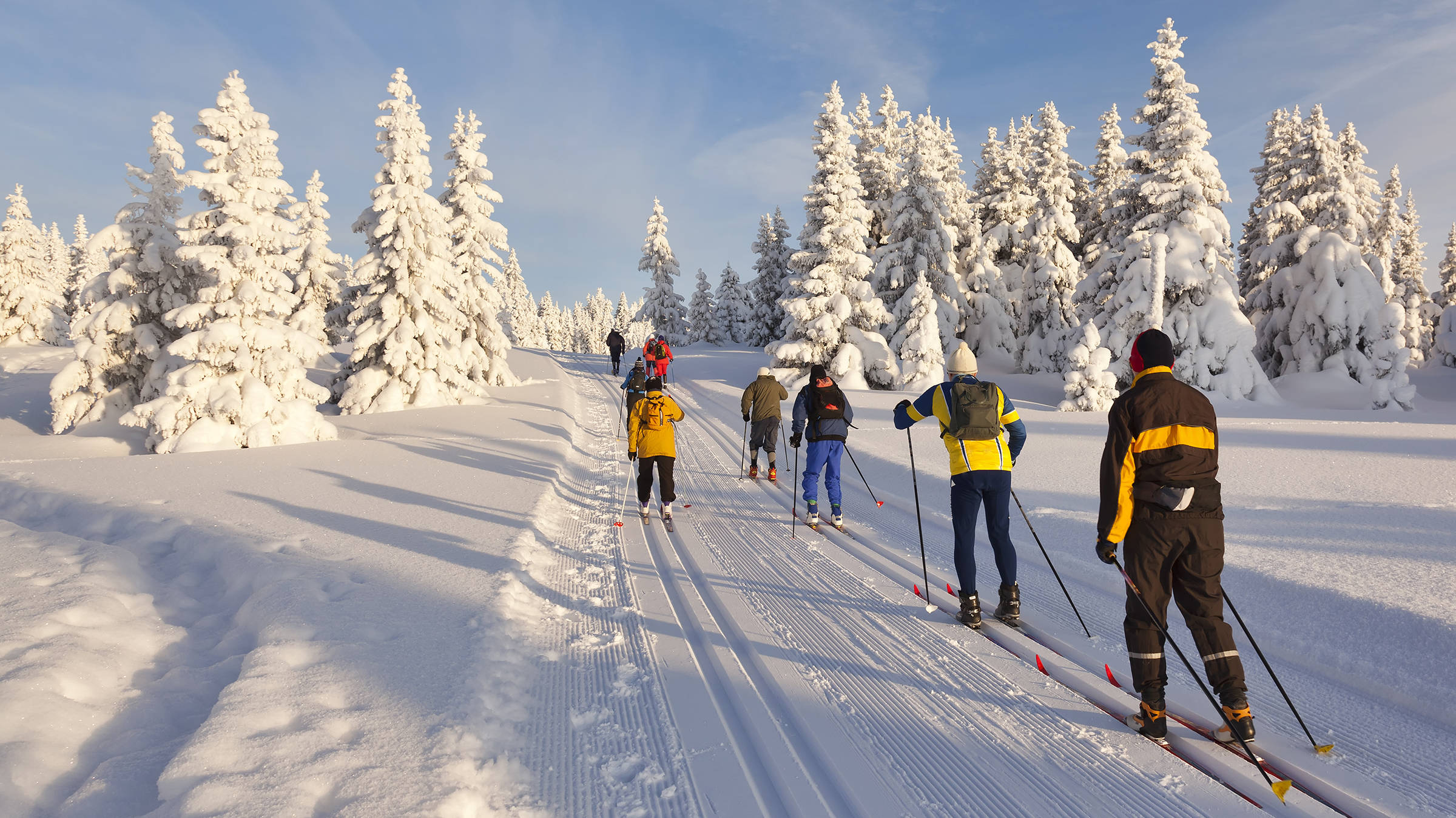 langlaufloipes - H+ Hotel Willingen - Officiële website langlaufloipes - H+ Hotel Willingen - Officiële website