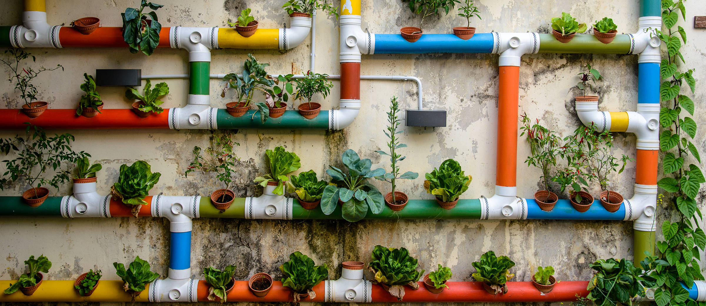 Incentive Urban Gardening - Tagungen mit H-Hotels.com - Offizielle Webseite