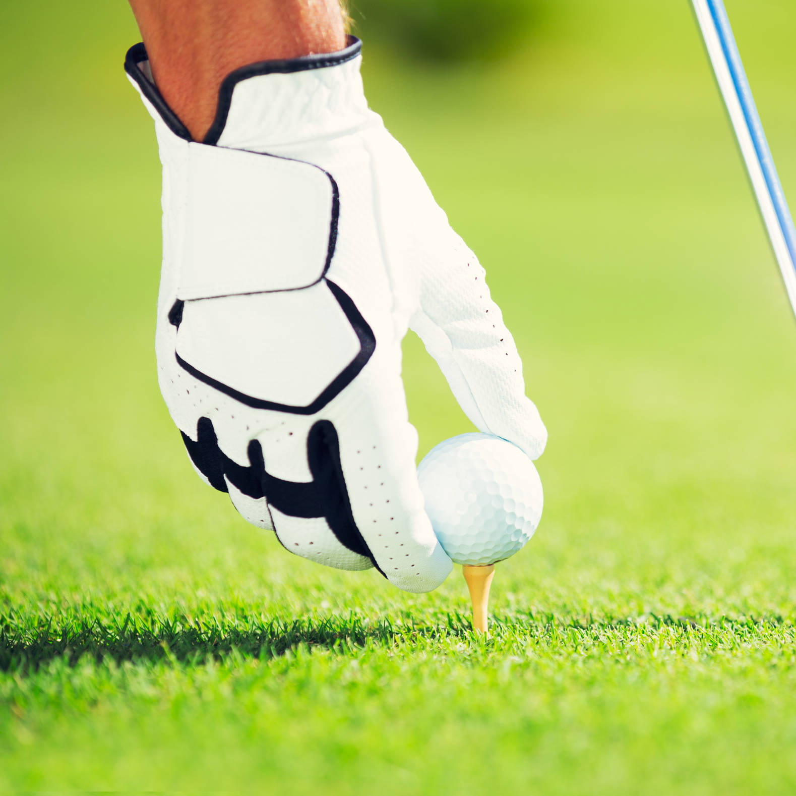 Golfen in Thüringen - H+ Hotel & Spa Friedrichroda - Offizielle Webseite Golfen in Thüringen - H+ Hotel & Spa Friedrichroda - Offizielle Webseite