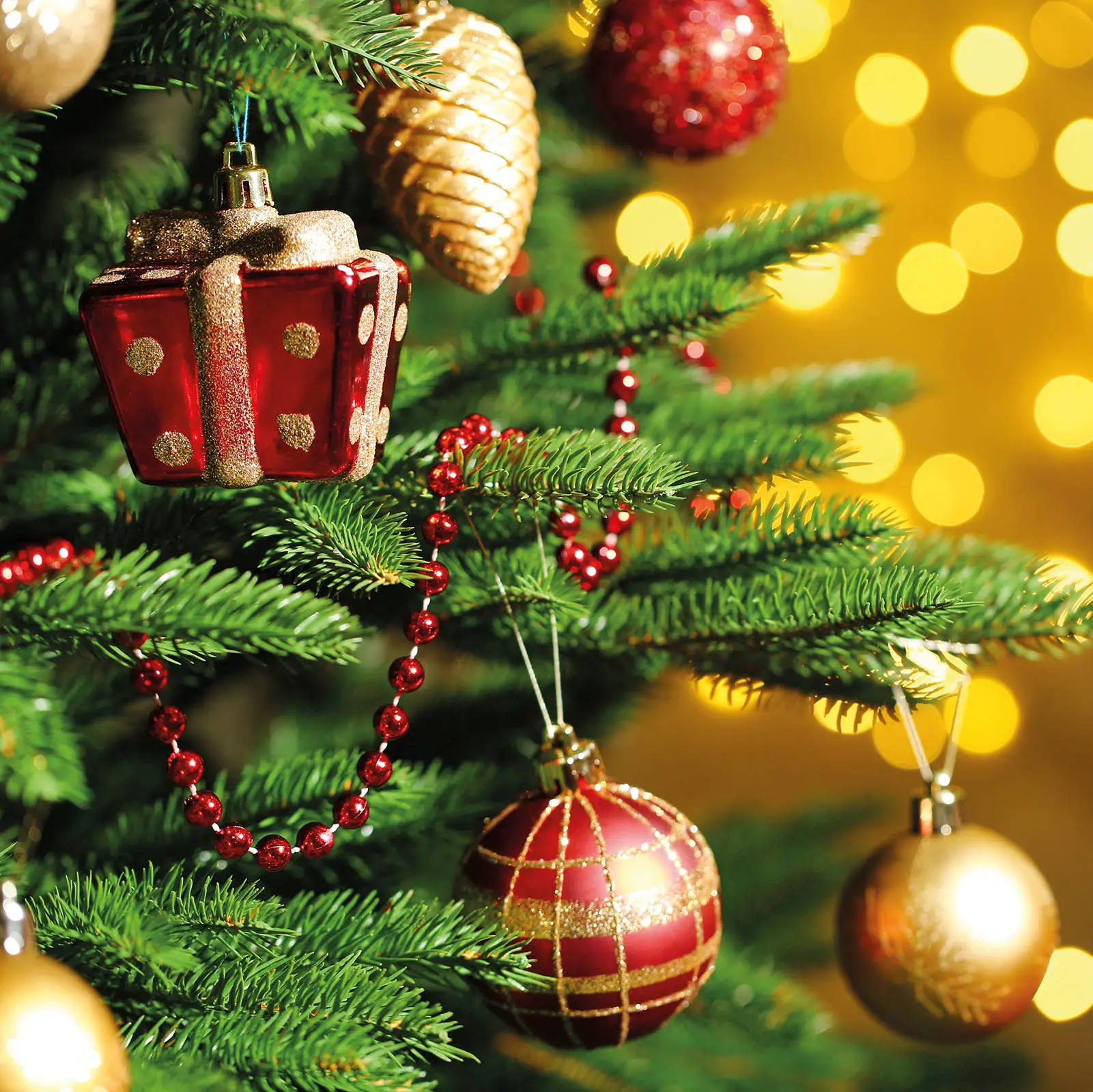 Besinnliche Weihnachten in Dresden - 3 Tage - Hyperion Hotel Dresden am Schloss