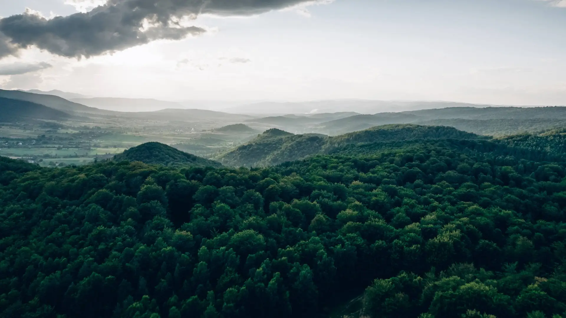 Environmental - ESG - H-Hotels.com