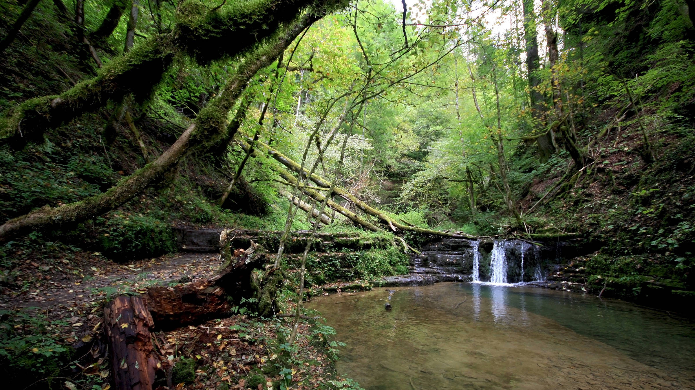 Parque natural TERRA.vita - H4 Hotel Münster